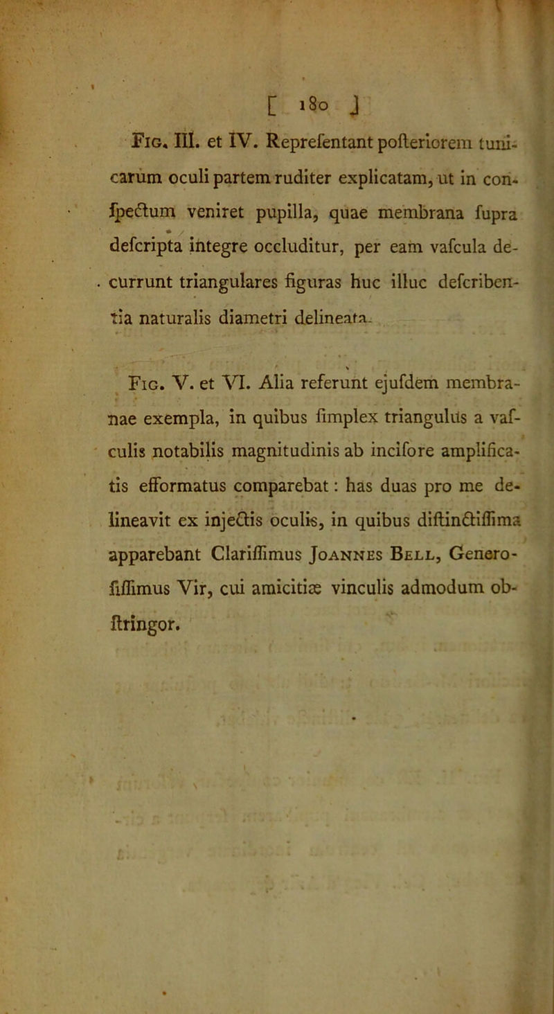 [ >8° J Fig, IIl. et IV. Reprefentant pofteriorem tuni- carum oculi partem ruditer explicatam, ut in con- fpedtum veniret pupilla, quae membrana fupra defcripta integre occluditur, per eam vafcula de- currunt triangulares figuras huc illuc defcriben- tia naturalis diametri delineafa. \ Fig. V. et VI. Alia referunt ejufdem membra- nae exempla, in quibus fimplex triangulus a vaf- culis notabilis magnitudinis ab incifore amplifica- tis efformatus comparebat: has duas pro me de- lineavit ex inje&is oculis, in quibus diftin&iflims apparebant Clariflimus Joannes Bell, Genero- fiflimus Vir, cui amicitiae vinculis admodum ob- Itringor.