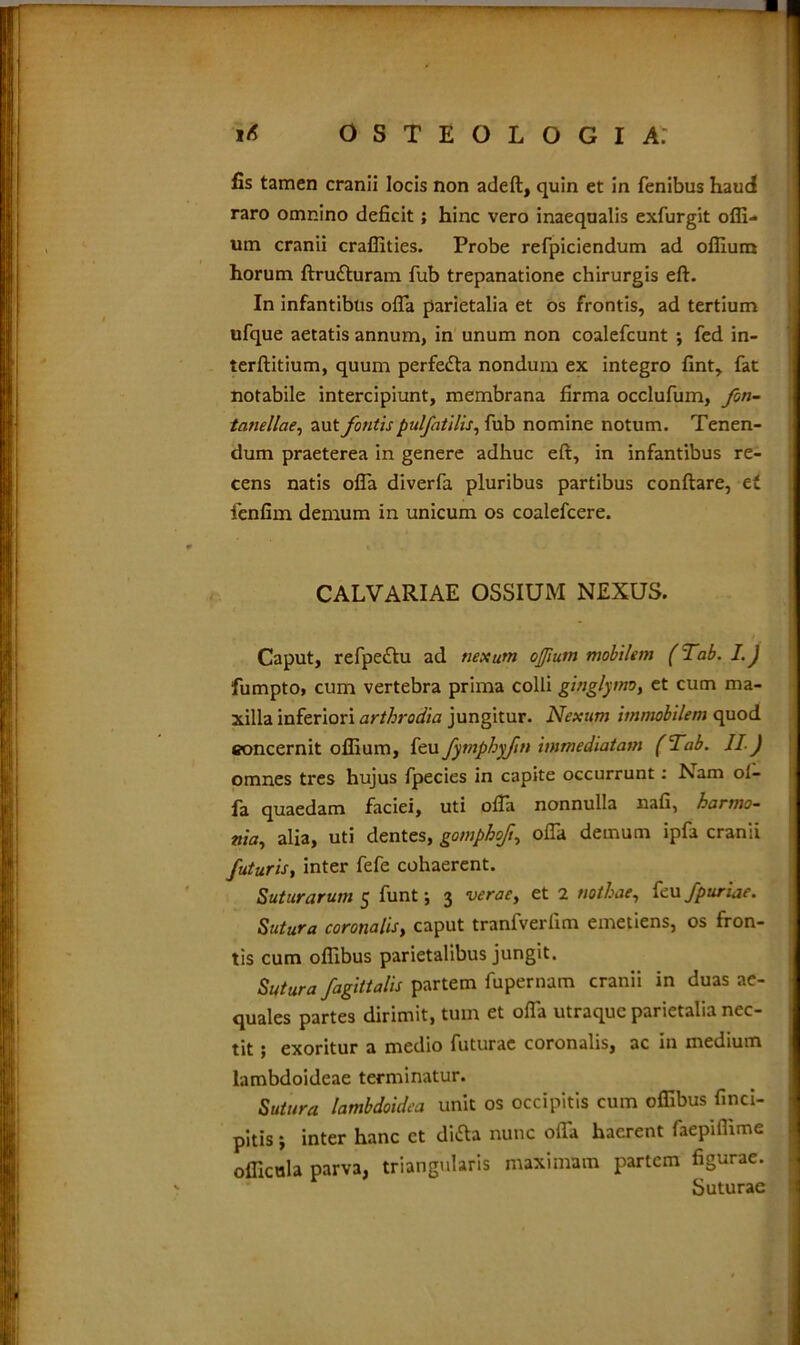 fis tamen cranii locis non adeft, quin et in fenibus haud raro omnino deficit; hinc vero inaequalis exfurgit ofli- um cranii crafiities. Probe refpiciendum ad ofllura horum ftru£turam fub trepanatione chirurgis eft. In infantibus ofla parietalia et os frontis, ad tertium ufque aetatis annum, in unum non coalefcunt ; fed in- terftitium, quum perfedta nondum ex integro fint, fat notabile intercipiunt, membrana firma occlufum, fon- tanellae, aut fontis pulfatilis, fub nomine notum. Tenen- dum praeterea in genere adhuc eft, in infantibus re- cens natis ofla diverfa pluribus partibus conftare, et fenfim demum in unicum os coalefcere. CALVARIAE OSSIUM NEXUS. Caput, refpectu ad nexum ojjium mobilem (Tab. I.J fumpto, cum vertebra prima colli ginglymo, et cum ma- xilla inferiori arthrodia jungitur. Nexum immobilem quod concernit oflium, feu fymphyfin immediatam (Tab. IIJ omnes tres hujus fpecies in capite occurrunt: Nam o 1- fa quaedam faciei, uti ofla nonnulla nafi, harmo- nia, alia, uti dentes, gomphoft, ofla demum ipfa cranii futuris, inter fefe cohaerent. Suturarum 5 funt; 3 verae, et 2 nothae, feu fpuriae. Sutura coronalis, caput tranfverfim emetiens, os fron- tis cum oflibus parietalibus jungit. Sutura fagittalis partem fupernam cranii in duas ae- quales partes dirimit, tum et ofla utraque parietalia nec- tit ; exoritur a medio futurae coronalis, ac in medium lambdoideae terminatur. Sutura lambdoidea unit os occipitis cum oflibus finci- pitis ; inter hanc et difta nunc ofla haerent faepiflime officula parva, triangularis maximam partem figurae. Suturae