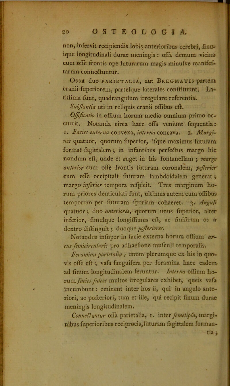 / ao OSTEOLOGIA. non, infervit recipiendis lobis anterioribus cerebri, fintf- ique longitudinali durae meningis : ofla demum vicina cum ofle frontis ope futurarum magis minufve manifef- tarum connedluntur. Ossa duo parietalia, aut Bregmatis partem cranii fuperiorem, partefque laterales conftituunt. La- tiffima funt, quadrangulum irregulare referentia. Subfantia uti in reliquis cranii offibus eft. Offificatio in offium horum medio omnium primo oc- currit. Notanda circa haec offa veniunt fequentia: i. Facies externa convexa, interna concava. 2. Margi- nes quatuor, quorum fuperior, ifque maximus futuram format fagittalem ; in infantibus perfedlus margo hic nondum eft, unde et auget in his fontanellam ; margo anterior cum ofle frontis futuram coronalem, pojierior cum ofle occipitali futuram lambdoidalem generat; margo inferior tempora refpicit. Tres marginum ho- rum priores denticulati funt, ultimus autem cum offibus temporum per futuram fpuriam cohaeret. 3. Anguli quatuor j duo anteriores, quorum unus fuperior, alter inferior, fimulque longiffimus eft, ac finiftrum os a dextro diftinguit; duoque pojleriores. Notandus infuper in facie externa horum offium ar- cus femicircularis pro adhaefione mufculi temporalis. Foramina parietalia ; unum plerumque ex his in quo- vis ofle eft ; vafa fanguifera per foramina haec eadem- ad finum longitudinalem feruntur. Interna offium ho- rum facies fulcos multos irregulares exhibet, queis vafa incumbunt: eminent inter hos ii, qui in angulo ante- riori, ac pofteriori, tum et ille, qui recipit finum durae meningis longitudinalem. ConneEtuntur ofla parietalia, 1. inter fcmetipfa, margi- nibus fuperioribus reciprocis,luturam fagittalem forman- tia >