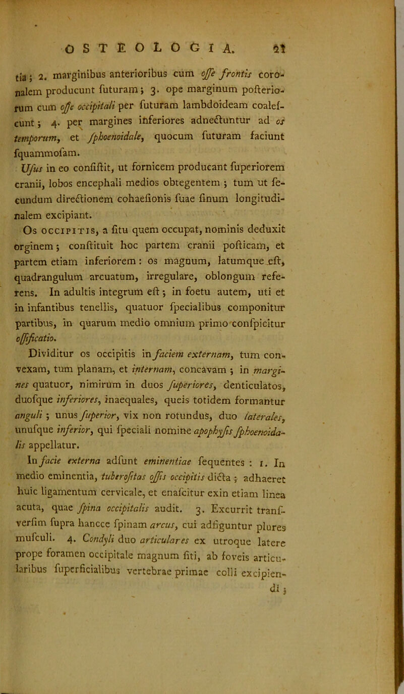 tia; 2. marginibus anterioribus cum ojfe frontis coro- nalem producunt futuram; 3. ope marginum pofterio- rum cum ojje occipitali per futuram lambdoideam coalef- cunt; 4. per margines inferiores adnedtuntur ad os temporum, et J'phoenoidale, quocum futuram faciunt fquammofam. Ufus in eo confiftit, ut fornicem producant fuperiorem cranii, lobos encephali medios obtegentem ; tum ut fe- cundum diredtionem cohaelionis fuae finum longitudi- nalem excipiant. Os occipitis, a fitu quem occupat, nominis deduxit orginem; conftituit hoc partem cranii pofticam, et partem etiam inferiorem: os magnum, latumque .eft, quadrangulum arcuatum, irregulare, oblongum refe- rens. In adultis integrum eft ; in foetu autem, uti et in infantibus tenellis, quatuor fpecialibus componitur partibus, in quarum medio omnium primo confpicitur offtfcatio. Dividitur os occipitis in faciem externam, tum con- vexam, tum planam, et internam, concavam ; in margi- nes quatuor, nimirum in duos fuperiores, denticulatos, duofque inferiores, inaequales, queis totidem formantur anguli ; unus fuperior> vix non rotundus, duo laterales, unufque inferior, qui fpeciali nomine apophyfts fphoenoida- lis appellatur. In facie externa adfunt eminentiae fequentes : 1. In medio eminentia, tuberoftas offis occipitis dicta ; adhaeret huic ligamentum cervicale, et enafcitur exin etiam linea acuta, quae fpina occipitalis audit. 3. Excurrit tranf- verfim fupra hancce fpinam arcus, cui adf guntur plures mufculi. 4. Condyli duo articulares ex utroque latere prope foramen occipitale magnum fiti, ab foveis articu- laribus fupcrficialibus vertebrae primae colli excipien- di j