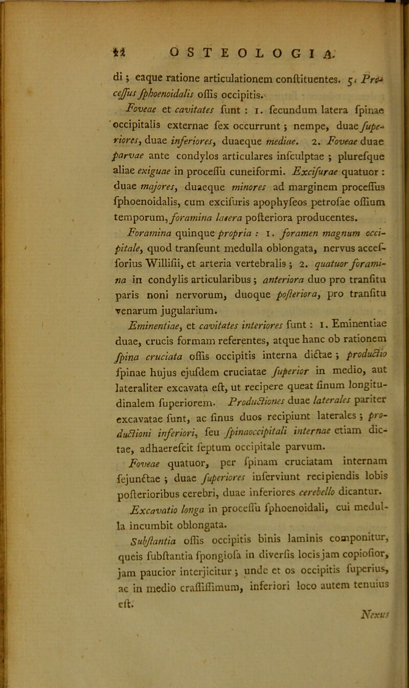 di j eaque ratione articulationem conftituentes. Pnu cejfus fphoenoidalis offis occipitis. Foveae et cavitates funt : i. fecundum latera fpinae occipitalis externae fex occurrunt; nempe, duae fupe- riores, duae inferiores, duaeque mediae. 2. Foveae duae parvae ante condylos articulares infculptae ; plurefque aliae exiguae in proceffu cuneiformi. Excifurae quatuor : duae majores, duaeque minores ad marginem proceffiis fphoenoidalis, cum excifuris apophyfeos petrofae offium temporum, foramina latera pofleriora producentes. Foramina quinque propria : x. foramen magnum occi- pitale, quod tranfeunt medulla oblongata, nervus accef- forius Williffi, et arteria vertebralis ; 2. quatuor forami- na in condylis articularibus ; anteriora duo pro tranfitu paris noni nervorum, duoque pofleriora, pro tranfitu venarum jugularium. Eminentiae, et cavitates interiores funt : I. Eminentiae duae, crucis formam referentes, atque hanc ob rationem fpina cruciata offis occipitis interna didlae ; produclio fpinae hujus ejufdem cruciatae fuperior in medio, aut lateraliter excavata eft, ut recipere queat finum longitu- dinalem fuperiorem- Productiones duae laterales pariter excavatae funt, ac finus duos recipiunt laterales ; pt 0- duclioni inferiori, feu fpinaoccipitali internae etiam dic- tae, adhaerefcit feptum occipitale parvum. Foveae quatuor, per fpinam cruciatam internam fejun&ae ; duae fuperiores inferviunt recipiendis lobis pofterioribus cerebri, duae inferiores cerebello dicantur. Excavatio longa in proceffu fphoenoidali, cui medul- la incumbit oblongata. Subfantia offis occipitis binis laminis componitur, queis fubftantia fpongiofa in diverfis locisjam copiofior, jam paucior interjicitur unde et os occipitis fuperius, ac in medio craffiffimum, inferiori loco autem tenuius cft. Nexus