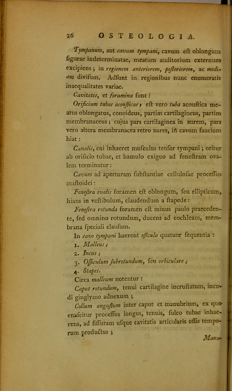 Tympanum, aut cavum tympani, cavum eft oblongum figurae indeterminatae, meatum auditorium externum excipiens ; in regionem anteriorem, poJleriorem> ac medi- am divifum. Adfunt in regionibus nunc enumeratis inaequalitates variae. Cavitates, et foramina funt: Orificium tubae acoujiicae t eft vero tuba acouftica me- atus oblongatus, conoideus, partim cartilagineus, partim membranaceus ; cujus pars cartilaginea in aurem, pars vero altera membranacea retro nares, ift cavum faucium hiat : Canalis i cui inhaeret mufculus tenfor tympani; oritur ab orificio tubae, et hamulo exiguo ad feneftram ova- lem terminatur: Cavum ad aperturam fubftantiae cellulofae procefius muftoidei: Fenejlra ovalis foramen eft oblongum, feu ellipticum, hians in veftibulum, claudendum a ftapede: Fenejlra rotunda foramen eft minus paulo praeceden- te, fed omnino rotundum, ducens ad cochleam, mem- brana fpeciali claufum. In cavo tympani haerent ojfictila quatuor fequentia : j. Malleus; 2. Incus ; 3. OJftculum fubrotundum, feu orbiculare ; 4. Stapes. Circa malleum notentur : Caput rotundum, tenui cartilagine incruftatum, incu* di ginglymo adnexum ; Collum angujlum inter caput et manubrium, ex quo- enafeitur procefius longus, tenuis, fulco tubae inhae- rens, ad fiiTuram ufque cavitatis articularis offis tempo- rum produ&us ; Manw