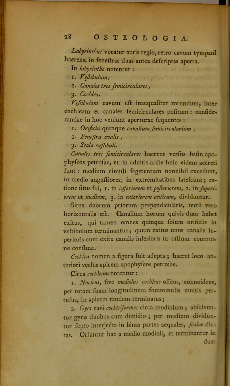 Labyrinthus vocatur auris regio, retro cavum tympani haerens, in feneftras duas antea defcriptas aperta. In labyrintho notentur : 1. Vejlibulum; 2. Canales tres femicirculares ; 3. Cochlea. Vejlibulum cavum eft inaequaliter rotundum, inter cochleam et canales femicirculares pofitum : confide- randae in hoc veniunt aperturae fequentes : 1. Orificia quinque canalium femicir cuiarium ; 2. Feneflra ovalis ; 3. Scala vefibuli. Canales tres femicirculares haerent verfus bafin apo- phyfeos petrofae, et in adultis ar£le huic eidem accreti funt : medium circuli Tegmentum nonnihil excedunt, in medio anguftiores, in extremitatibus latefcunt; ra- tione fitus fui, 1. in inferiorem et poferiorem, 2. in fuperi- crem et medium, 3. in exteriorem anticum, dividuntur. Situs duorum priorum perpendicularis, tertii vero horizontalis cft. Canalium horum quivis duos habet exitus, qui tamen omnes quinque foium orificiis in vertibulum terminantur ; quum exitus unus canalis fu- perioris cum exitu canalis inferioris in oftium commu- ne confluat. Cochlea nomen a figura fuit adepta ; haeret loco an- teriori verfus apicem apophyfeos petrofae. Circa cochleam notentur: 1. Nucleus, five modiolus cochleae ofieus, connoideus, per totam fuam longitudinem foraminulis multis per- tufus, in apicem tandem terminatus; 2. Gyri cavi cochleifortnes circa modiolum ; abfolvun- tur gyris duobus cum dimidio ; per medium dividun- tur fepto interjefto in binas partes aequales, fcalae dic- tas. Oriuntur hae a medio modioli, et terminantur in duas