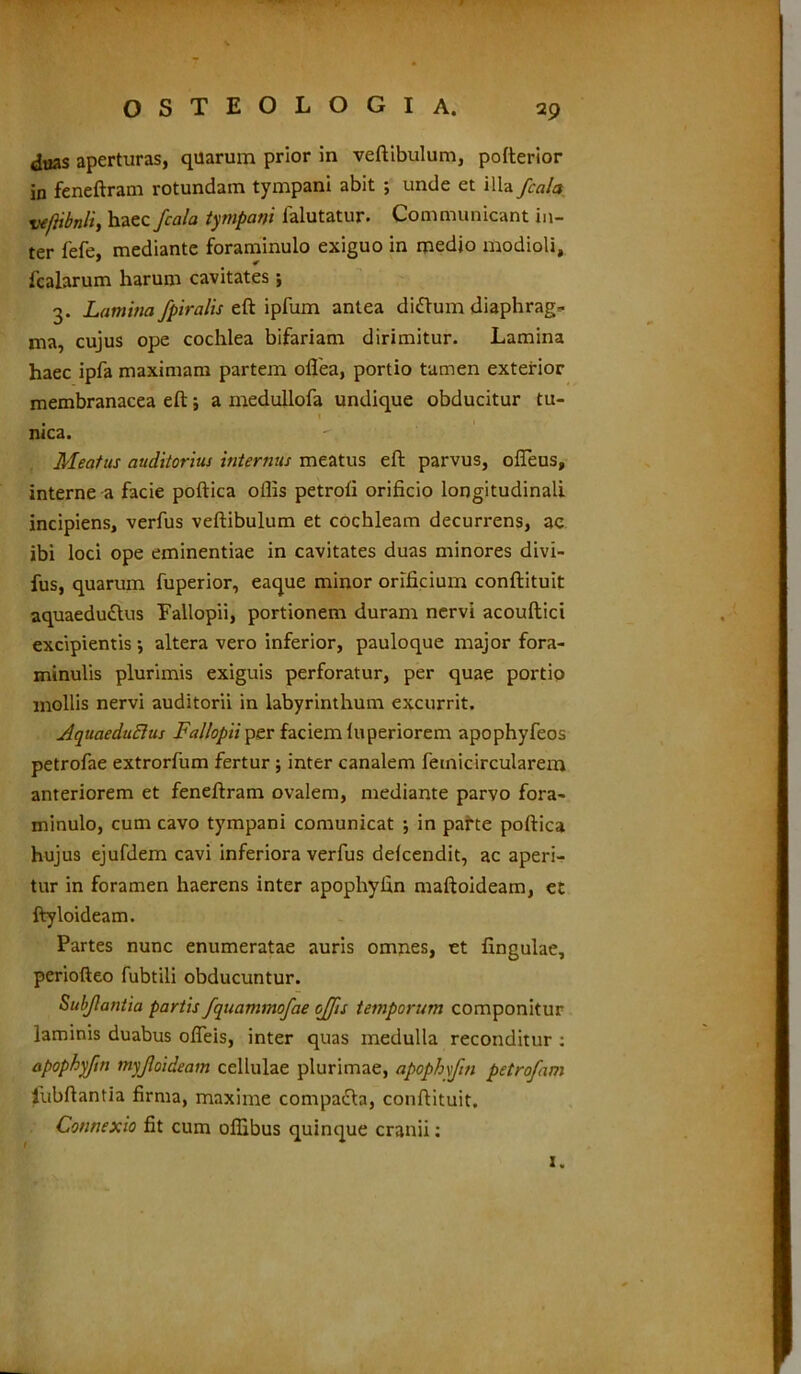 duas aperturas, quarum prior in vertibulum, pofterior in feneftram rotundam tympani abit ; unde et illa fcala vefHbnli, haec fcala tympani falutatur. Communicant in- ter fefe, mediante foraminulo exiguo in medio modioli, fcalarum harum cavitates; 3. Lamina fpiralis eft ipfum antea diftum diaphrag- ma, cujus ope cochlea bifariam dirimitur. Lamina haec ipfa maximam partem oflea, portio tamen exterior membranacea ert; a medullofa undique obducitur tu- nica. Meatus auditorius internus meatus eft parvus, ofteus, interne a facie poftica oflis petroti orificio longitudinali incipiens, verfus vertibulum et cochleam decurrens, ac ibi loci ope eminentiae in cavitates duas minores divi- fus, quarum fuperior, eaque minor orificium conftituit aquaedu&us Fallopii, portionem duram nervi acouftici excipientis-, altera vero inferior, pauloque major fora- minulis plurimis exiguis perforatur, per quae portio mollis nervi auditorii in labyrinthum excurrit. Aquaeductus Fallopii per faciem tuperiorem apophyfeos petrofae extrorfum fertur ; inter canalem femicircularem anteriorem et feneftram ovalem, mediante parvo fora- minulo, cum cavo tympani comunicat in parte poftica hujus ejufdem cavi inferiora verfus detcendit, ac aperi- tur in foramen haerens inter apophyfin maftoideam, et ftyloideam. Partes nunc enumeratae auris omnes, et fingulae, periofteo fubtili obducuntur. Subflantia partis fquammofae offis temporum componitur laminis duabus ofleis, inter quas medulla reconditur : apophyfin myjloideam cellulae plurimae, apophfin petrofam iubftantia firma, maxime compafta, conftituit. Connexio fit cum offibus quinque cranii: x.