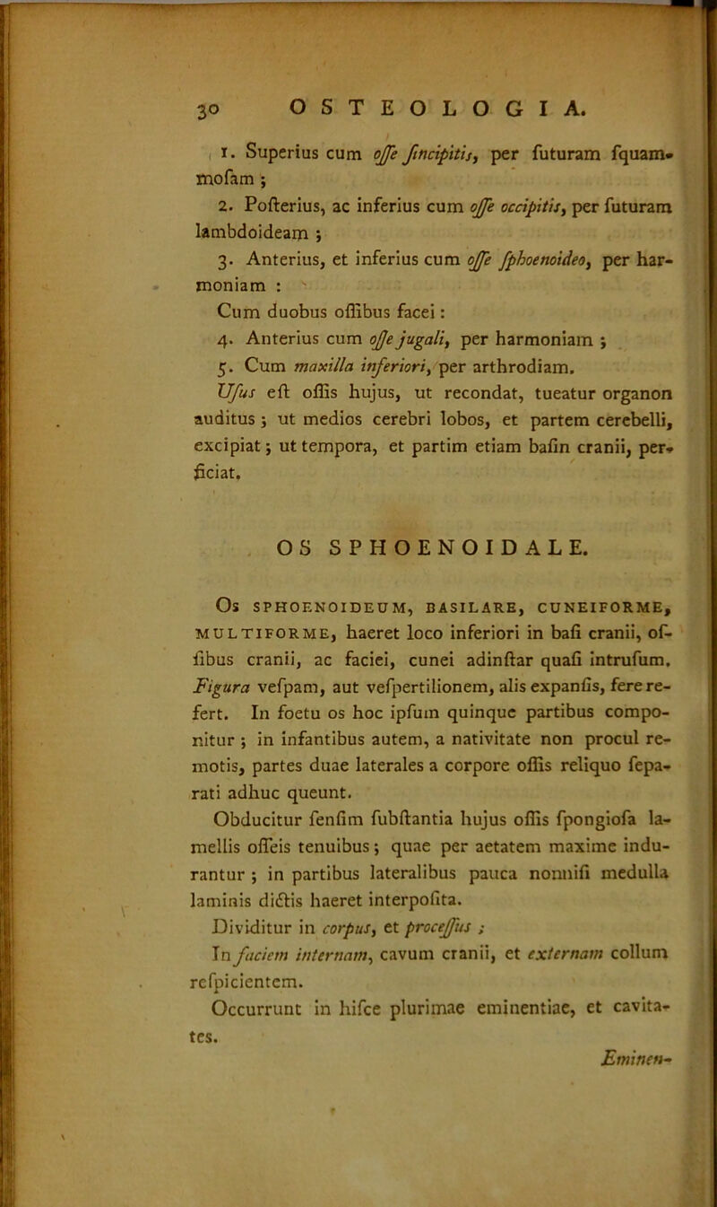 / 1. Superius cum ojfe/incipitis, per futuram fquam- mofam ; 2. Pofterius, ac inferius cum ojfe occipitis, per futuram lambdoideam ; 3. Anterius, et inferius cum ojfe fphoenoideoi per har- moniam : ■ Cum duobus offibus facei: 4. Anterius cum ojje jugali, per harmoniam ; 5. Cum maxilla inferiori, per arthrodiam. Ufus eft offis hujus, ut recondat, tueatur organon auditus j ut medios cerebri lobos, et partem cerebelli, excipiat; ut tempora, et partim etiam bafin cranii, per- ficiat. OS SPHOENOIDALE. Os SPHOENOIDEUM, BASILARE, CUNEIFORME, multiforme, haeret loco inferiori in bafi cranii, of- iibus cranii, ac faciei, cunei adinftar quafi intrufum. Figura vefpam, aut vefpertilionem, alis expanfis, fere re- fert. In foetu os hoc ipfuin quinque partibus compo- nitur ; in infantibus autem, a nativitate non procul re- motis, partes duae laterales a corpore offis reliquo fepa- rati adhuc queunt. Obducitur fenfim fubftantia hujus offis fpongiofa la- mellis ofleis tenuibus; quae per aetatem maxime indu- rantur ; in partibus lateralibus pauca nonnifi medulla laminis didlis haeret interpofita. Dividitur in corpus, et procejfus ; In faciem internam, cavum cranii, et externam collum refpicientcm. Occurrunt in hifce plurimae eminentiae, et cavita- tes. Emine»-