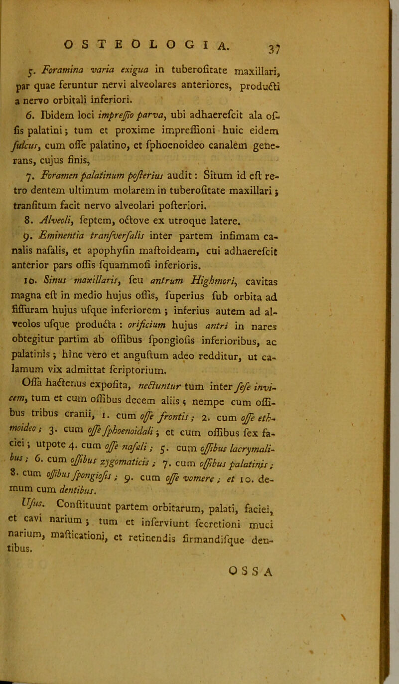 5. Foramina varia exigua in tuberofitate maxillari, par quae feruntur nervi alveolares anteriores, produ&i a nervo orbitali inferiori. 6. Ibidem loci imprefio parva, ubi adhaerefcit ala of. fis palatini; tum et proxime impreffioni huic eidem fulcus, cum offe palatino, et fphoenoideo canalem gene- rans, cujus finis, 7. Foramen palatinum pojlerius audit: Situm id efl re- tro dentem ultimum molarem in tuberofitate maxillari ; tranfitum facit nervo alveolari pofteriori. 8. Alveoli, feptem, odlove ex utroque latere. 9. Eminentia tranfverfalis inter partem infimam ca- nalis nafalis, et apophyfin maftoideam, cui adhaerefcit anterior pars offis fquammofi inferioris. 10. Sinus maxillaris, feu antrum Highmori, cavitas magna eft in medio hujus offis, fuperius fub orbita ad fifiuram hujus ufque inferiorem ; inferius autem ad al- veolos ufque produdla : orificium hujus antri in nares obtegitur partim ab offibus fpongiofis inferioribus, ac palatinis ; hinc vero et anguftum adeo redditur, ut ca- lamum vix admittat fcriptorium. Ofla hattenus expolita, nefiuntur tum inter fefe invi- cem, tum et cum offibus decem aliis s nempe cum offi- bus tribus cranii, 1. cum ofle frontis; 2. cum offe eth- moideo; 3. cum offe fphoenoidali; et cum offibus fex fa- ciei ; utpote 4. cum offe nafali ; 5. cum offibus lacrymali- bus: 6. cum offibus zygomaticis ; 7. cum offibus palatinis; 3. cum offibus fpongiofis ; 9. cum offe vomere ; et 10. de- mum cum dentibus. Ufus. Conftituunt partem orbitarum, palati, faciei, et cavi narium ; tum et inferviunt fecretioni muci narium, mafticationi, et retinendis firmandifque den- tibus. '