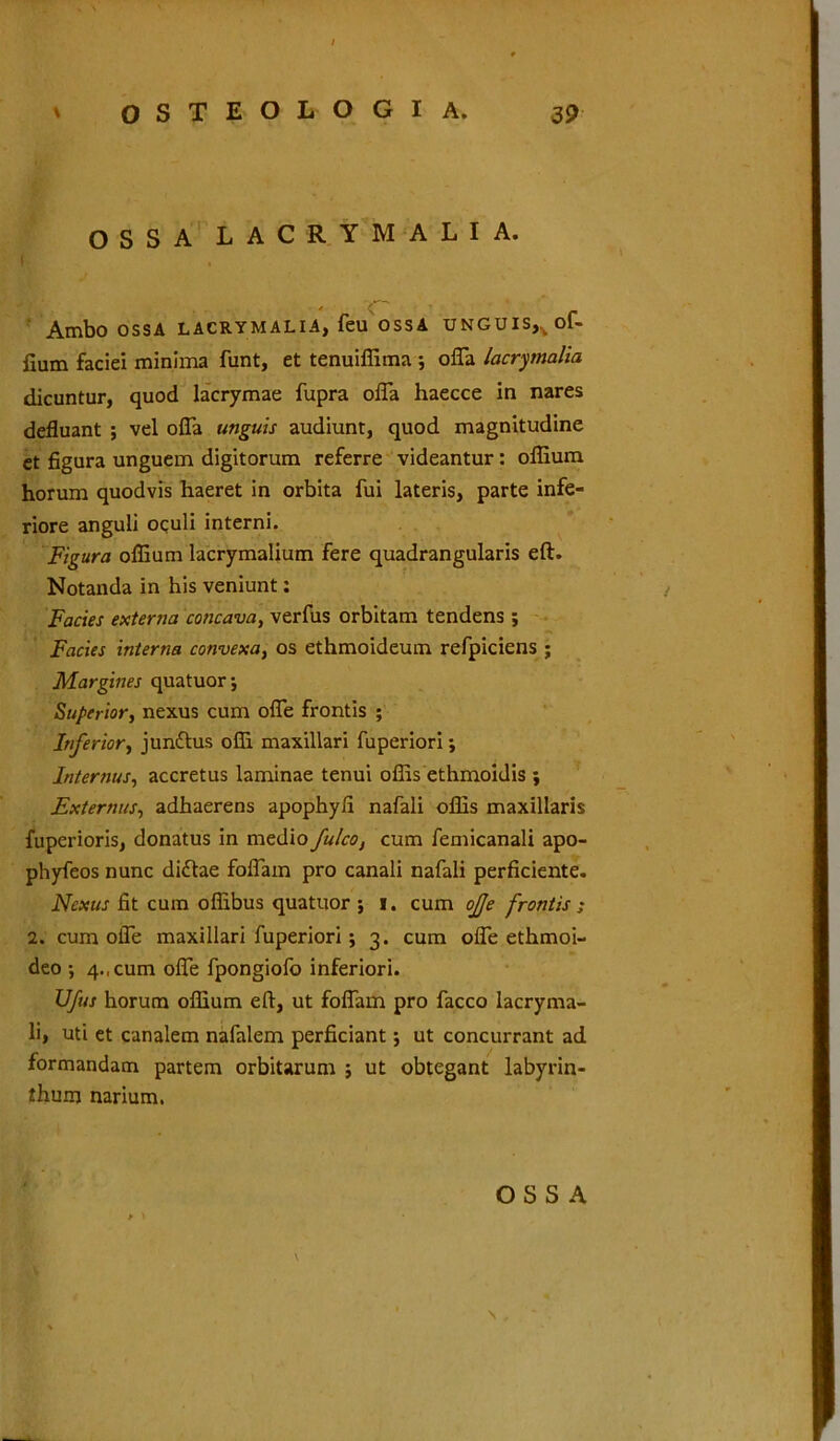 OSSA LACRYMALIA. \ , Ambo OSSA LACRYMALIA, feu OSSA UNGUIS^of- fium faciei minima funt, et tenuiffima ; offa lacrimalia dicuntur, quod lacrymae fupra offa haecce in nares defluant ; vel offa unguis audiunt, quod magnitudine et figura unguem digitorum referre videantur: offium horum quodvis haeret in orbita fui lateris, parte infe- riore anguli oculi interni. Figura offium lacrymalium fere quadrangularis eft. Notanda in his veniunt: Facies externa concava, verfus orbitam tendens ; Facies interna convexa, os ethmoideum refpiciens ; Margines quatuor; Superior, nexus cum offe frontis ; Inferior, jundtus offi maxillari fuperiori; Internus, accretus laminae tenui offis ethmoidis ; Externus, adhaerens apophyfi nafali offis maxillaris fuperioris, donatus in medio fulco, cum femicanali apo- phyfeos nunc di£tae foffam pro canali nafali perficiente. Nexus fit cum offibus quatuor ; i. cum ojje frontis ; 2. cum offe maxillari fuperiori; 3. cum offe ethmoi- deo ; 4., cum offe fpongiofo inferiori. Ufus horum offium eft, ut foffam pro facco lacryma- li, uti et canalem nafalem perficiant; ut concurrant ad formandam partem orbitarum ; ut obtegant labyrin- thum narium. \ \
