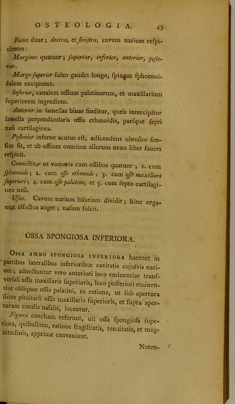 Facies, duae; dextra, etfmiftra, cavum narium refpi- cientes: Margines quatuor ; /aperior, inferior, anterior, pofe- rior. Margo fuperior fulco gaudet longo, fpin^m fphoenoi- dalem excipiente. Inferior, canalem offium palatinorum, et maxillarium fuperiorem ingrediens. Anterior in lamellas binas finditur, queis intercipitur lamella perpendicularis offis ethmoidis, parfquc fepti nafi cartilaginea. Pojlerior inferne acutus eft, adfcendens obtufior fen- fim fit, et ab offium omnium aliorum nexu liber fauces refpicit. ConneBitur os vomeris cum offibus quatuor ; i. cum fphoenoide; 2. cum ojje ethmoide; 3. cum offe maxillari fuperiori; 4. cum offe palatino, et 5. cum fepto cartilagi- neo nafi. Ufus. Cavum narium bifariam dividit; hinc orga- non olfaftus auget; nafum fulcit. OSSA SPONGIOSA INFERIORA. • . _■ *- ‘ ‘: 'f n» . , ‘ < OssA ambo spongiosa inferiora haerent in partibus lateralibus inferioribus cavitatis cujufvis nari- um ; adnedtuntur vero anteriori loco eminentiae tranf- ver ah offis maxillaris fuperioris, loco pofieriori eminen- iae obliquae offis palatini, ea ratione, ut fub apertura mus pituitarii offis maxillaris fuperioris, et fupra aper- turam canalis nafalis, locentur. ,1 «''''IT1® rcferUnt’ U,i oflii rP°ng;ofa fupe- ■ J. U CUI.n’ ratlone fragilitatis, tenuitatis, et mag. mtudinis, apprime conveniunt. 1 Noten-