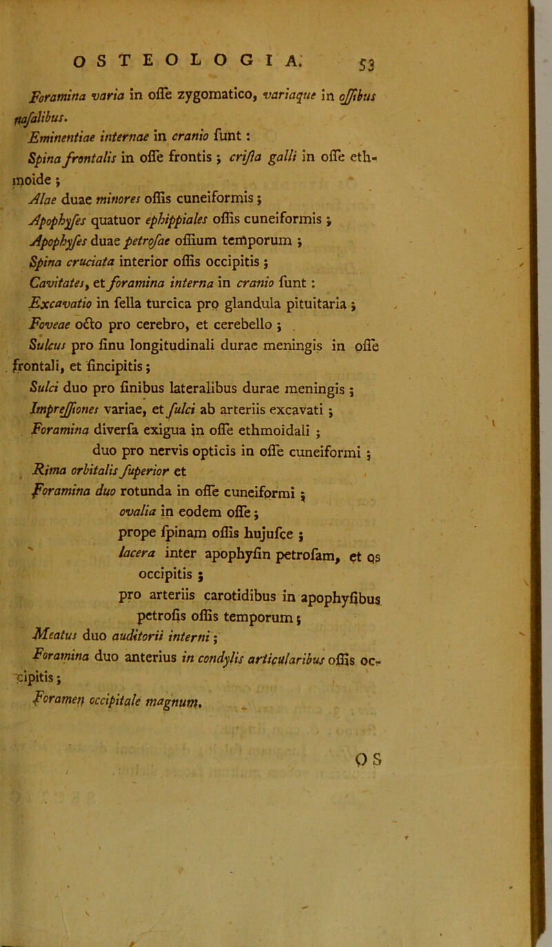 Foramina varia in ofle zygomatico, variaque in ojjibtts fiafalibus. Eminentiae internae in cranio funt: Spina frontalis in ofle frontis ; crijla galli in ofle eth- moide; Alae duae minores oflis cuneiformis; Apophyfes quatuor ephippiales oflis cuneiformis ; Apophyfes duae petrojae ofiium temporum ; Spina cruciata interior offis occipitis ; Cavitates, et foramina interna in cranio funt : Excavatio in fella turcica pro glandula pituitaria ; Foveae o£to pro cerebro, et cerebello ; Sulcus pro finu longitudinali durae meningis in ofle frontali, et fincipitis; Sulci duo pro finibus lateralibus durae meningis ; Imprejftones variae, et fulci ab arteriis excavati ; Foramina diverfa exigua in ofle ethmoidali ; duo pro nervis opticis in ofle cuneiformi ; Rima orbitalis fuperior et foramina duo rotunda in ofle cuneiformi $ ovalia in eodem ofle; prope fpinam oflis hujufce ; lacera inter apophyfin petrofam, et qs occipitis ; pro arteriis carotidibus in apophyfibus petrofis olfis temporum 5 Meatus duo auditorii interni; Foramina duo anterius in condylis articularibus offis oc- cipitis ; , foramei; occipitale magnum. QS s