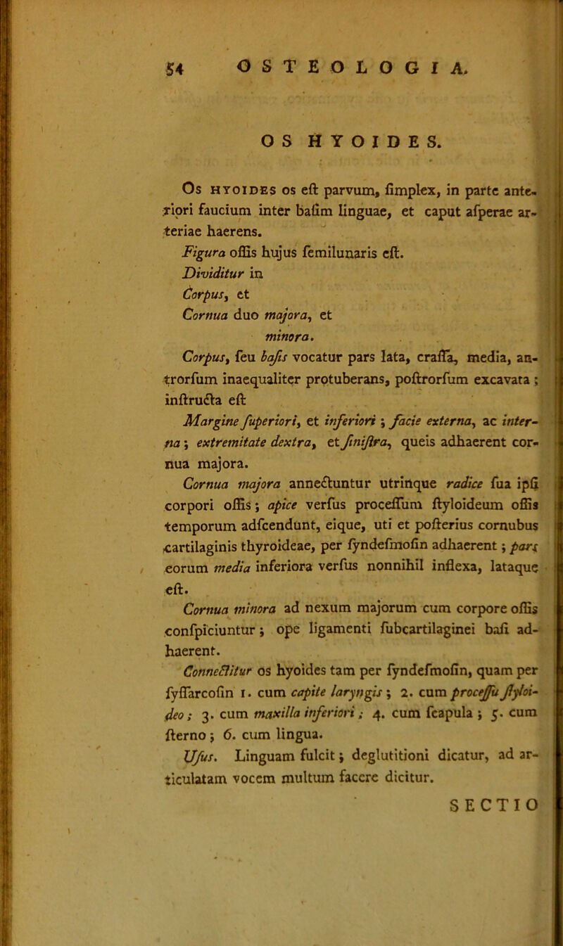 OS HYOIDES. Os htoides os eft parvum, fimplex, in parte ante- riori faucium inter baiim linguae, et caput afperae ar- teriae haerens. Figura offis hujus femilunaris eft. Dividitur in Corpus, et Cornua duo majora, et minora. Corpus, feu bafis vocatur pars lata, crafia, media, aa- trorfum inaequaliter protuberans, poftrorfum excavata ; inftrudla eft Margine fuperiori, et inferiori ; facie externa, ac inter- na ; extremitate dextra, et fmiftra, queis adhaerent cor- nua majora. Cornua majora anneftuntur utrinque radice fua ipfi corpori offis; apice verfus proceflum ftyloideum offis temporum adfcendunt, eique, uti et pofterius cornubus cartilaginis thyroideae, per lyndefmofin adhaerent; pari eorum media inferiora verfus nonnihil inflexa, lataque eft. Cornua minora ad nexum majorum cum corpore offis confpiciuntur; ope ligamenti fubcartilaginei bafi ad- haerent. Conncflitur os hyoides tam per fyndefmofin, quam per fyflarcofin I. cum capite laryngis ; 2. cum procejfu Jlyloi- deo; 3. cum maxilla inferiori; 4. cum fcapula -, 5. cum fterno; 6. cum lingua. Ufus. Linguam fulcit; deglutitioni dicatur, ad ar- ticulatam vocem multum facere dicitur. SECTIO