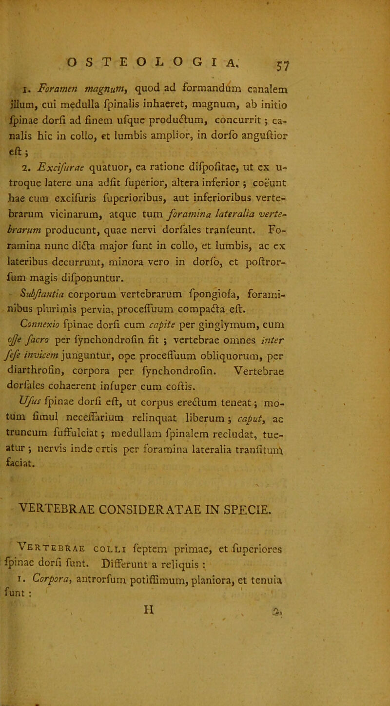 1. Foramen magnum, quod ad formandum canalem illum, cui medulla fpinalis inhaeret, magnum, ab initio fpinae dorfi ad finem ufque produ&um, concurrit; ca- nalis hic in collo, et lumbis amplior, in dorfo anguftior eft ; 2. Excifurae quatuor, ea ratione difpofitae, ut cx u- troque latere una adfit fuperior, altera inferior ; coeunt hae cum excifuris fuperioribus, aut inferioribus verte- brarum vicinarum, atque tum foramina lateralia verte- brarum producunt, quae nervi dorfales tranleunt. Fo- ramina nunc didta major funt in collo, et lumbis, ac ex lateribus decurrunt, minora vero in dorfo, et poftror- fum magis difponuntur. Subjlantia corporum vertebrarum fpongiola, forami- nibus plurimis pervia, proceffuum compadta eft. Connexio fpinae dorfi cum capite per ginglymum, cum ojje facro per fynchondrofin fit ; vertebrae omnes inter fefe invicem junguntur, ope proceffuum obliquorum, per diarthrofin, corpora per fynchondrofin. Vertebrae dorfales cohaerent infuper cum coftis. Ufus fpinae dorfi eft, ut corpus erettum teneat; mo- tum fimul neceffarium relinquat liberum ; caput, ac truncum fuffulciat; medullam fpinalem recludat, tue- atur *, nervis inde ortis per foramina lateralia tranfituiA faciat. VERTEBRAE CONSIDERATAE IN SPECIE. Vertebrae colli feptem primae, et fupcriores fpinae dorfi funt. Differunt a reliquis : i. Corpora, antrorfum potiffimum, planiora, et tenuia funt : ' II