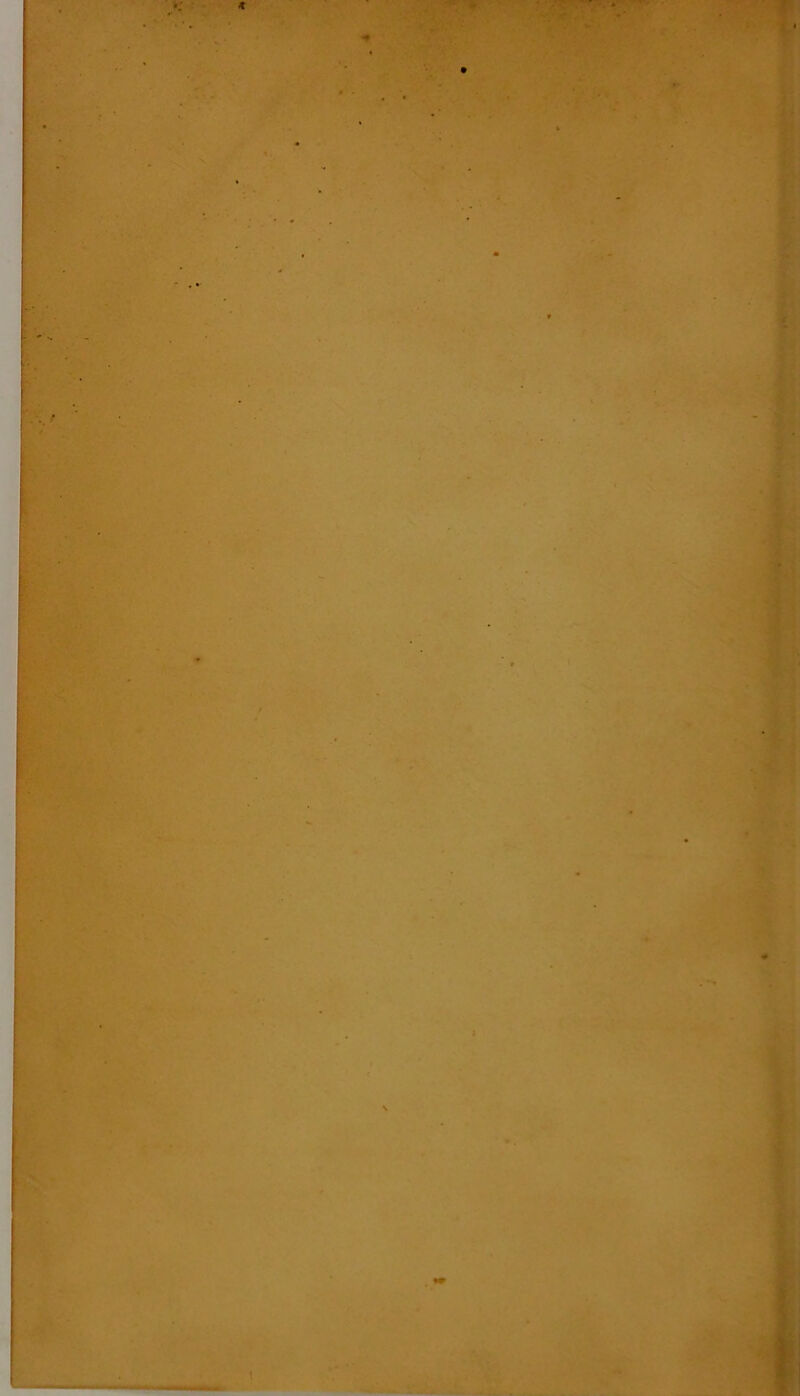 ■; * •• * y *- • I wma m I I * i