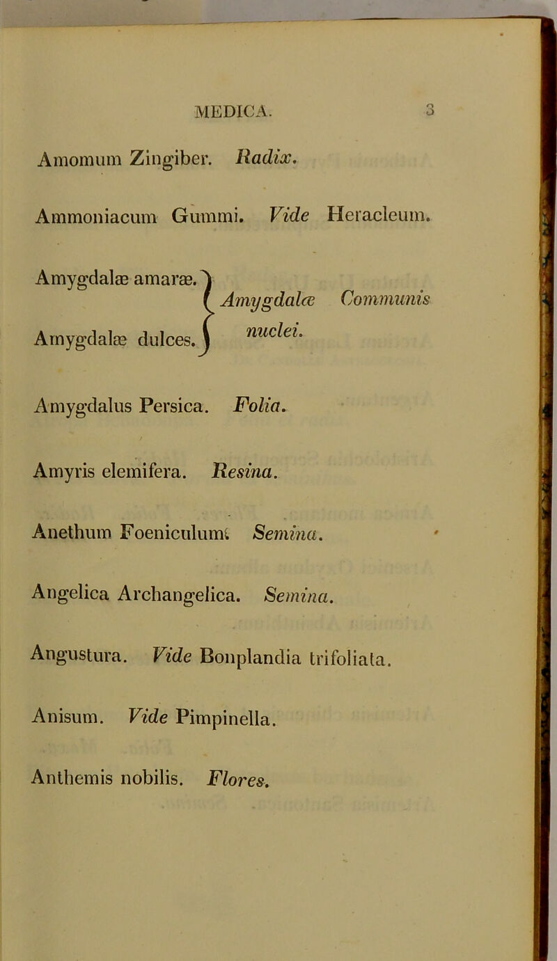 Amomum Zingiber. Radix. Ammoniacum Gummi. Vide Heracleum. Amygdalae amarae. A ( Amygdalee Communis Amygdalae dulces ■ nuclei. Amygdalus Persica. Folia. Amyris elemifera. Resina. Anethum Foeniculumi Semina. Angelica Archangelica. Semina. Angustura. Vide Bonplandia trifoliata. Anisum. Vide Pimpinella. Anthemis nobilis. Flores.