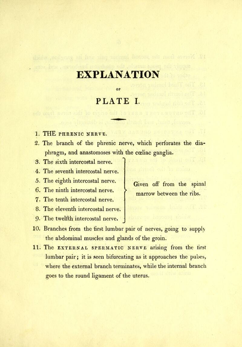 EXPLANATION 1. 2. 3. 4. 5. 6. 7. 8. 9. 10. 11. OP PLATE L THE PHRENIC NERVE. The branch of the phrenic nerve, which perforates the dia- phragm, and anastomoses with the coeliac ganglia. The sixth intercostal nerve. The seventh intercostal nerve. The eighth intercostal nerve. The ninth intercostal nerve. The tenth intercostal nerve. The eleventh intercostal nerve. The twelfth intercostal nerve. Branches from the first lumbar pair of nerves, going to suppl\ the abdominal muscles and glands of the groin. The EXTERNAL SPERMATIC NERVE arising from the first lumbar pair; it is seen bifurcating as it approaches the pubes, where the external branch terminates, while the internal branch goes to the round ligament of the uterus. Given off from the spinal marrow between the ribs.
