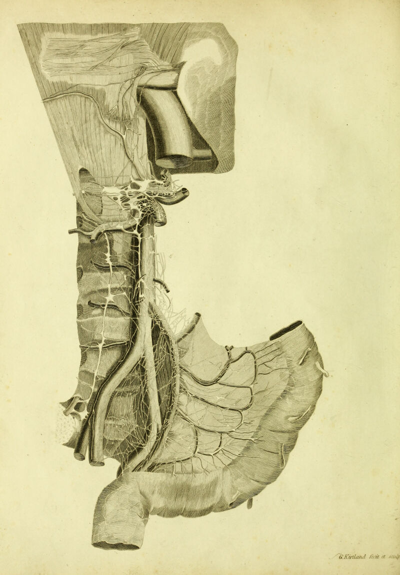 ' liKuthuid ferit >t