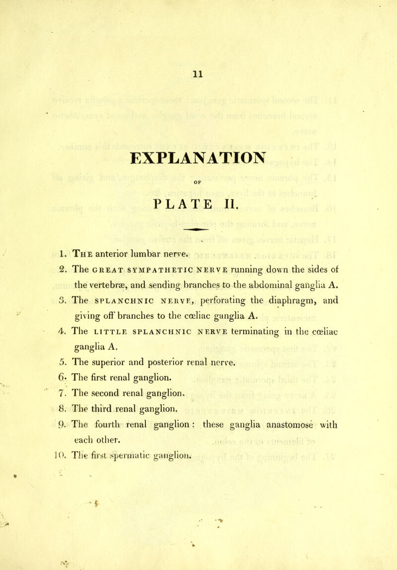 EXPLANATION OF PLATE II. 1. The anterior lumbar nerve. 2. The GREAT SYMPATHETIC NERVE running down the sides of the vertebrae, and sending branches to the abdominal ganglia A. 3. The SPLANCHNIC NERVE, perforating the diaphragm, and giving off branches to the coeliac ganglia A. 4. The LITTLE SPLANCHNIC NERVE terminating in the coeliac ganglia A. 5. The superior and posterior renal nerve. 6* The first renal ganglion. 7. The second renal ganglion. 8. The third Tenal ganglion. 9. The fourth' renal ganglion : these ganglia anastomose with each other. .u , It). The first spermatic ganglion. -1