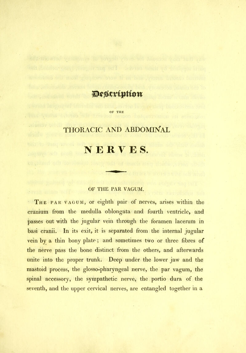 OF THE THORACIC AND ABDOMIN'AL NERVES. OF THE PAR VAGUM. The par vagum, or eighth pair of nerves, arises within the cranium from the medulla oblongata and fourth ventricle, and passes out with the jugular vein through the foramen lacerum in basi cranii. In its exit, it is separated from the internal jugular vein by a thin bony plate ; and sometimes two or three fibres of the nerve pass the bone distinct from the others, and afterwards unite into the proper trunk. Deep under the lower jaw and the mastoid process, the glosso-pharyngeal nerve, the par vagum, the spinal accessory, the sympathetic nerve, the portio dura of the seventh, and the upper cervical nerves, are entangled together in a