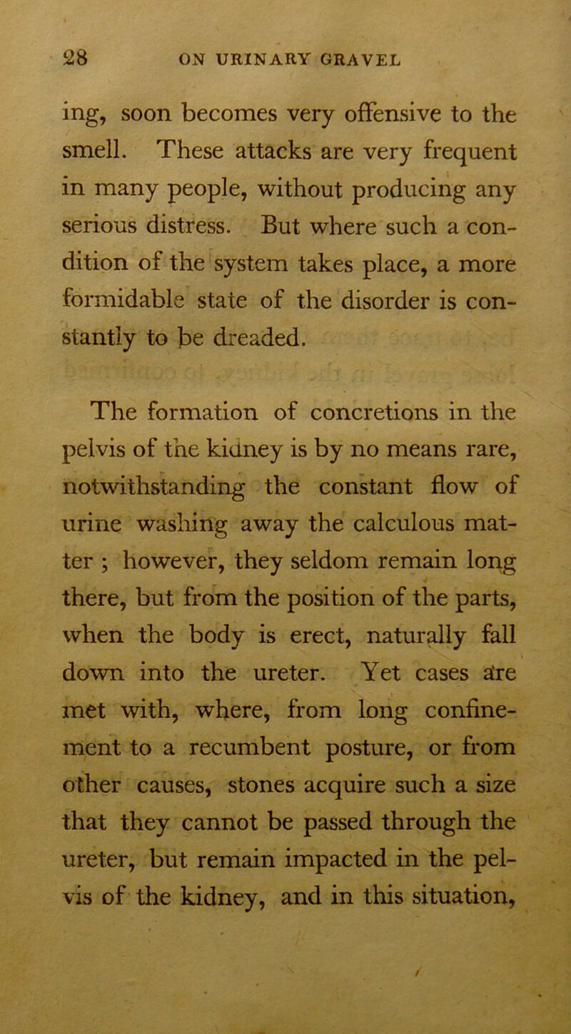 ing, soon becomes very offensive to the smell. These attacks are very frequent in many people, without producing any serious distress. But where such a con- dition of the system takes place, a more formidable state of the disorder is con- stantly to be dreaded. The formation of concretions in the pelvis of the kidney is by no means rare, notwithstanding the constant flow of urine washing away the calculous mat- ter ; however, they seldom remain long there, but from the position of the parts, when the body is erect, naturally fall down into the ureter. Yet cases atre met with, where, from long confine- ment to a recumbent posture, or from other causes, stones acquire such a size that they cannot be passed through the ureter, but remain impacted in the pel- vis of the kidney, and in this situation,