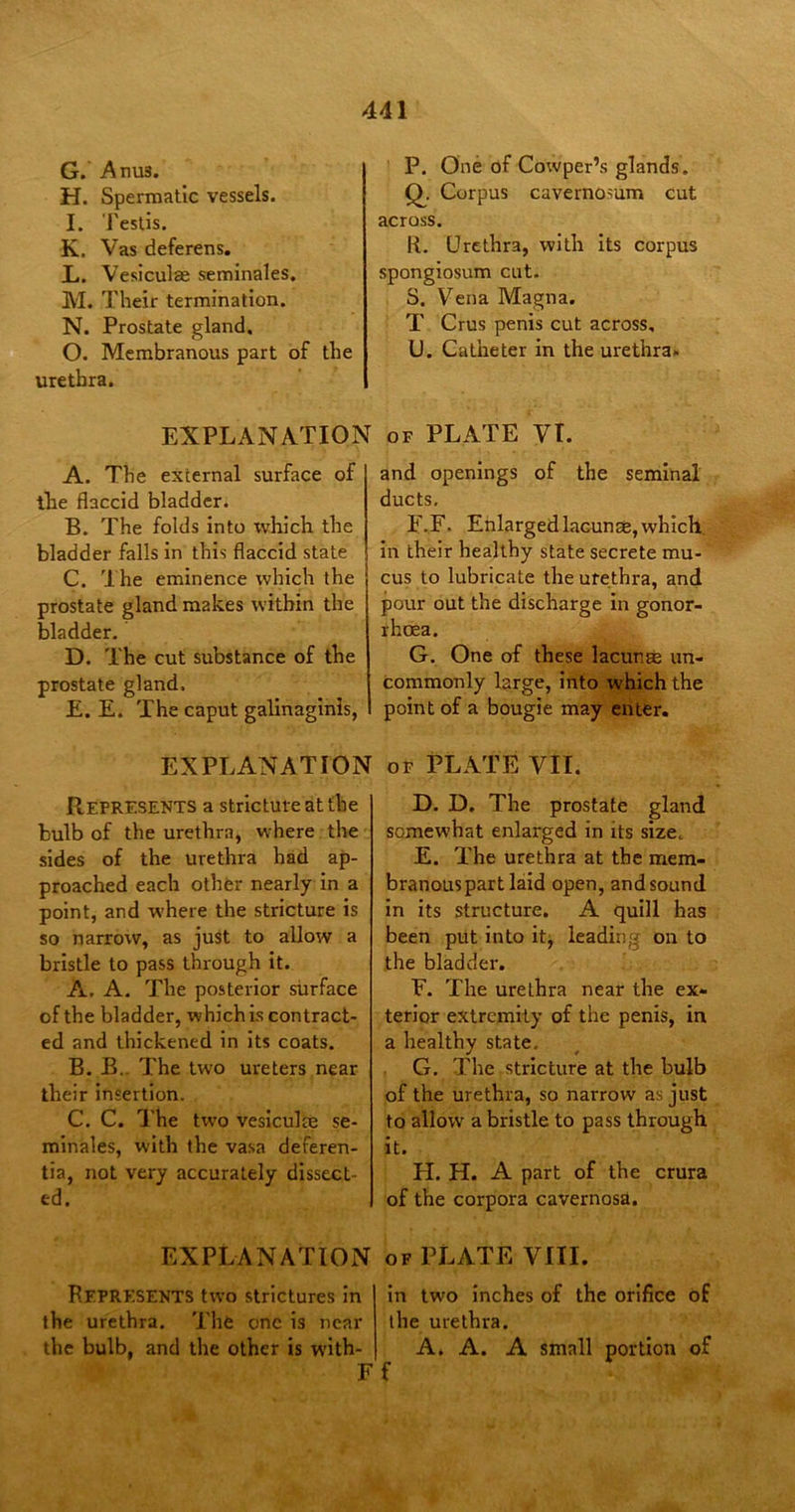 G. Anus. H. Spermatic vessels. I. Testis. K. Vas deferens. L. Vesiculae seminales. M. Their termination. N. Prostate gland, O. Membranous part of the urethra. P. One of Cowper’s glands. Q. Corpus cavernosum cut across. li. Urethra, with its corpus spongiosum cut. S. Vena Magna. T Crus penis cut across, U. Catheter in the urethra. EXPLANATION of PLATE Vt. A. The external surface of the flaccid bladder. B. The folds into which the bladder falls in this flaccid state C. The eminence which the prostate gland makes within the bladder. D. The cut substance of the prostate gland. E. E. The caput galinaginls, and openings of the seminal ducts. F. F. Enlarged lacunae, which in their healthy state secrete mu- cus to lubricate the urethra, and pour out the discharge in gonor- rhoea. G. One of these lacunae un- commonly large, into which the point of a bougie may enter. EXPLANATION of PLATE VII, Represents a stricture at the bulb of the urethra, where the sides of the urethra had ap- proached each other nearly in a point, and where the stricture is so narrow, as just to allow a bristle to pass through it. A. A. The posterior surface of the bladder, which is contract- ed and thickened in its coats. B. B. The two ureters near their insertion. C. C. The two vesiculae se- minales, with the vasa deferen- tia, not very accurately dissect- ed. D. D. The prostate gland somewhat enlarged in its size, E. The urethra at the mem- branous part laid open, and sound in its structure. A quill has been put into it, leading on to the bladder. F. The urethra near the ex- terior extremity of the penis, in a healthy state. G. The stricture at the bulb of the urethra, so narrow as just to allowr a bristle to pass through it. H. H. A part of the crura of the corpora cavernosa. EXPLANATION of PLATE VIII. Represents two strictures in the urethra. The one is near the bulb, and the other is with- Ff in two inches of the orifice of the urethra. A. A. A small portion of