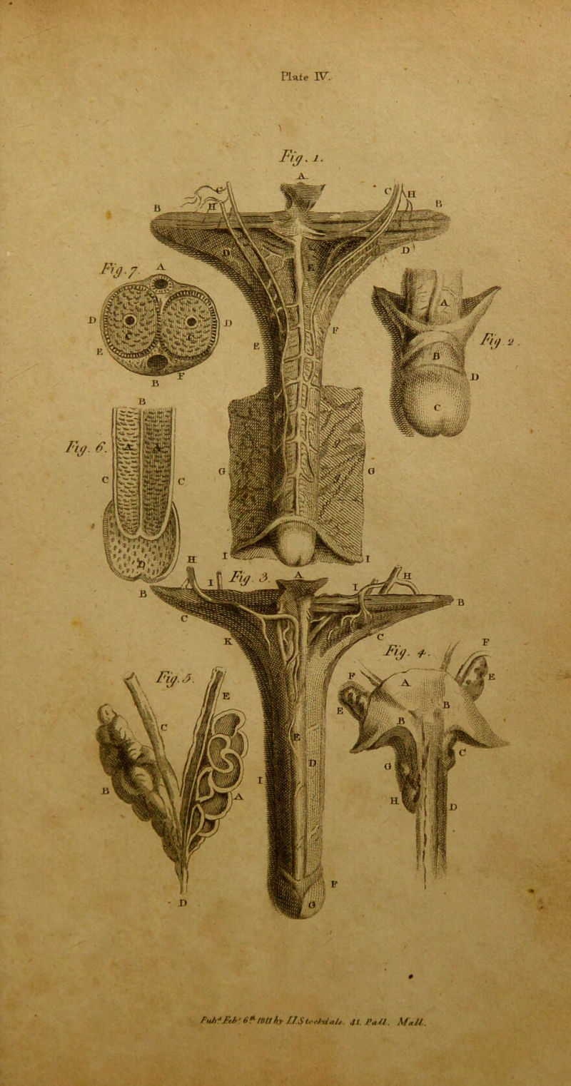 ■ ft*mu/, llStect-d+u Jt. Pa//. MaU