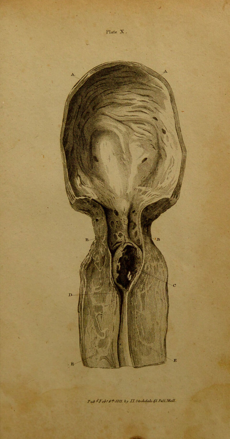 Tut, *FeteS * IUU. by JJ Stoekdale. 4J- ML MaU.