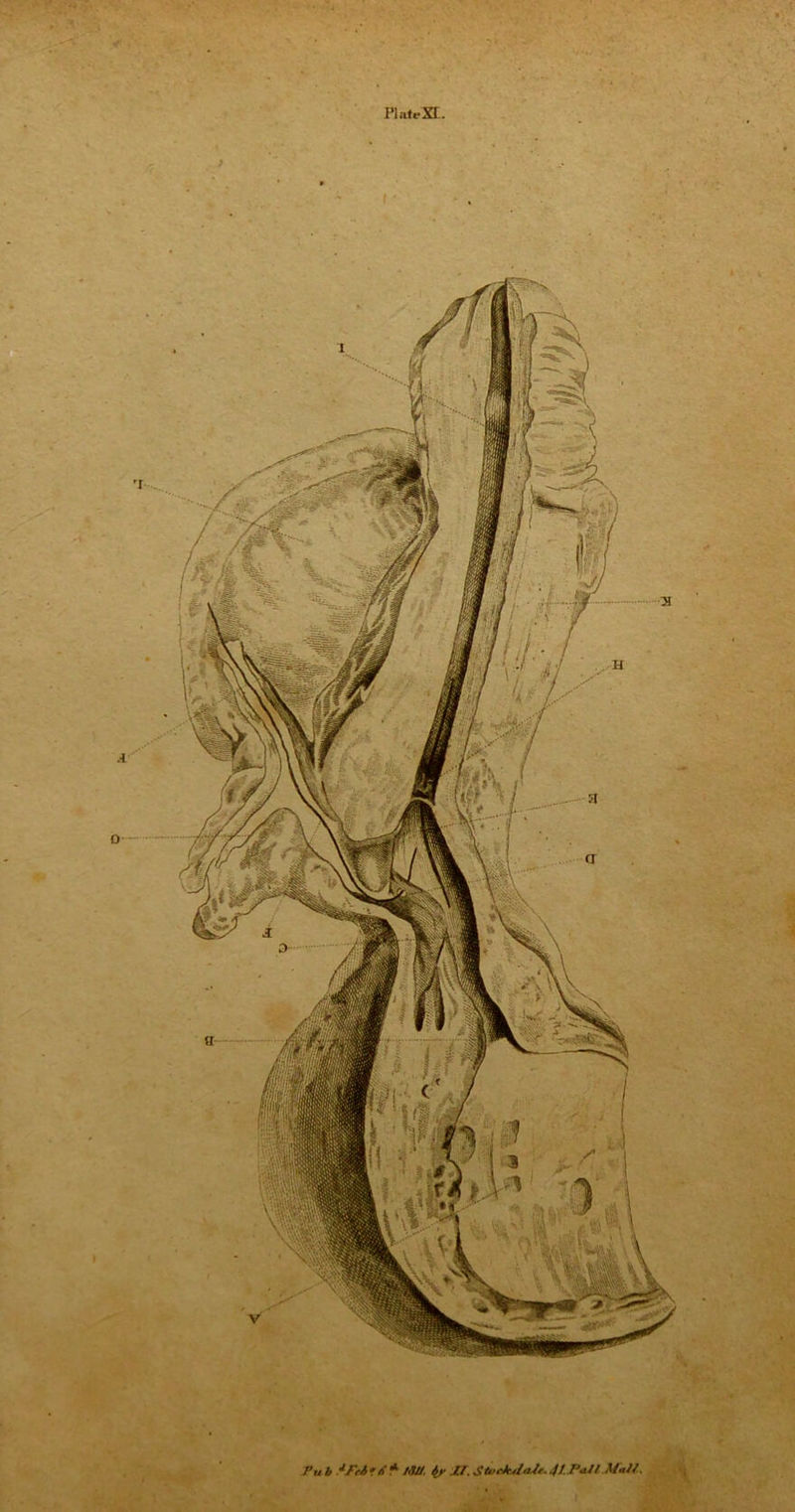 Pub ■‘PrAr/f* MU. if Xl.Stoeh'laJt.jl.PaJI Mall.