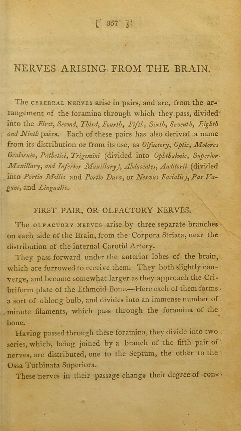 [' 357- 3' NERVES ARISING FROM THE BRAIN. The cerebral nerves arise in pairs, and are, from the ar- 1 rangement of the foramina through which they .pass, divided' into the First, Second, Third, Fourth, Fifth, Sixth, Seventh, Eighth and Ninth pairs. Each of these pairs has also derived a name ^ from its distribution or from its use, as 0factory. Optic, Motores Oculorum, Pathetici, Trigemini (divided into Ophthalmic, Superior- Maxillary, and Inferior Maxillary), Abducentcs, Auditorii (divided into Portia Mollis and Portia Dura, or Nervus Facialtt j. Par Va~ gum, and Lingualis, FIRST PAIR, OR OLFACTORY NERVES, The OLFACTORY NERVES arise by three separate branches • on each side of the Brain, from the Corpora Striata, near the distribution of the internal Carotid Artery. They pass forward under tlie anterior lobes of the brain, which are furrowed to receive them. They both slightly con- verge, and become somewhat larger as they approach the Cri- briform plate of the Ethmoid Bone.—Here each of them forms . a sort of oblong bulb, and divides into an immense number of . minute filaments, which pass through the foramina of the bone. Having passed through these foramina, they divide into two series, which, being joined by a branch of the fifth pair of nerves, are distributed, one to the Septtim, the other to the Ossa Turbinata Superiora. These nerves in their passage change their degree of con-.'