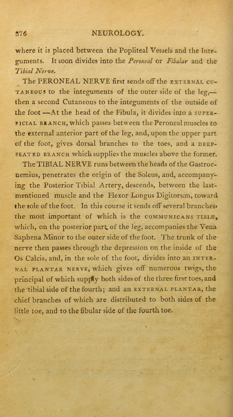 where it is placed between the Popliteal Vessels and the Inte- guments. It soon divides into the Peroneal or Fibular and the Tibial Merve. The PERONEAL NERVE first sends ofF the external cu- taneous to the integuments of the outer side of the leg,— then a second Cutaneous to the integuments of the outside of the foot —At the head of the Fibula, it divides into a super- ficial BRANCH, which passes between the Peroneal muscles to the external anterior part of the leg, and, upon the upper part of the foot, gives dorsal branches to the toes, and a deep- seated BRANCH which supplies the muscles above the former. The TIBIAL NERVE runs between the heads of the Gastroc- nemius, penetrates the origin of the Soleus, and, accompany- ing the Posterior Tibial Artery, descends, between the last- mentioned muscle and the Flexor Longus Digitorum, toward the sole of the foot. In this course it sends ofF several branches> the most important of which is the communicans tibije, which, on the posterior pari; of the leg, accompanies the Vena Saphena Minor to the outer side of the foot. The trunk of the nerve then passes through the depression on the inside of the Os Calcis, and, in the sole of the foot, divides into an inter- nal PLANTAR NERVE, which givcs ofF numerous twigs, the principal of which supjily both sides of the three first toes, and the'tibial side of the fourth; and an external plantar, the chief branches of which are distributed to both sides of the little toe, and to the fibular side of the fourth toe.