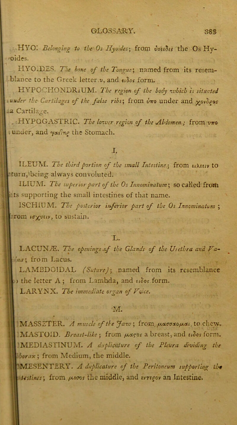 HYO! Bilonoing io tbt Os Hyo':des\ from t/oeiSsr the Os Hy- -oldes. HYOiDZS. The bone of the Tongtie\ named from its resem- ■blance to the Greek letter,v, and form. HYPOCFIONLRlUZd. The region of the body •which is situated .under the- Cartilages of fie false ribs; from voro under and *a Cartilage. , :HYPOGASTRIC. The lo-wer region of the .Abdomen,; from viro . under, and ^a.snp the Stomach. J, ILEUM. The third portion of the small Intestine; from tiXesiv to 'turn,'being- always convoluted. ILIUA'I. The superior part of the Os Innominatum; SO called froSl :ts supporting the small intestines of that name. ISCHIUM. The posterior inferior part of the Os Innominatum ; rrom \a-/yui, to sustain. L. LACUNZE. The openings .of the Glands of the XJiethra and Ta- 'na; fro m I.acus. LAMBDOIDAL (Suture); named from its resemblance ) the letter A; from Lambda, and eiSo? form. LARYNX. The immediate organ of Voice. •M. 'MASSZTER. A muscle of the Jaav; from.tochew. ’MASTOID. Breast-like; froma breast, and eiSos form. ^MEDIASTINUM. A duplicature of the Pleura dividing the borax; from Medium, the middle. ..MESENTERY. A duplicature of the Peritoneum supporti/ig tit i testines; from (Ataos the middle, and tyrt§ov an Intestine.