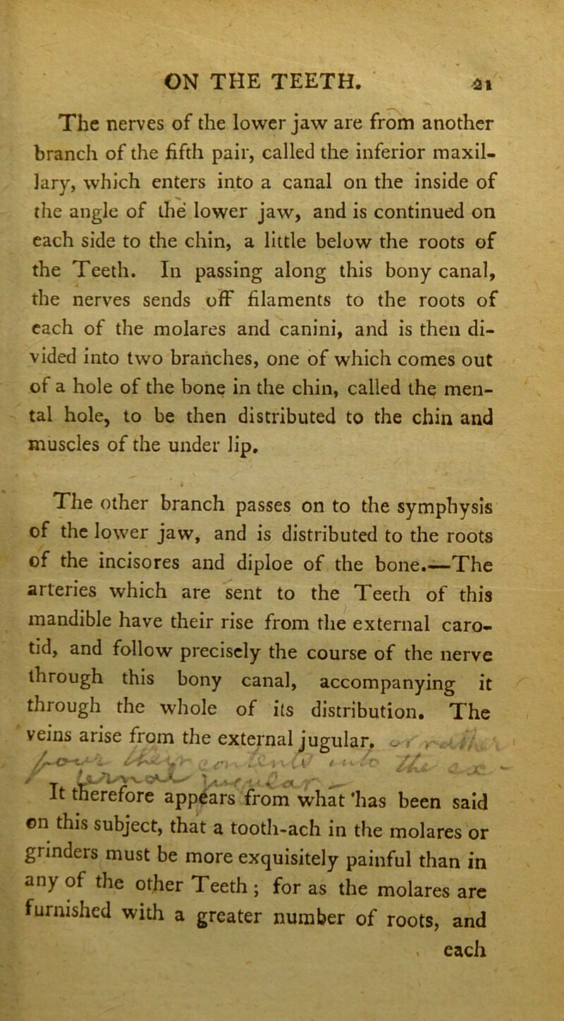 The nerves of the lower jaw are from another branch of the fifth pair, called the inferior maxil- lary, which enters into a canal on the inside of the angle of the lower jaw, and is continued on each side to the chin, a little below the roots of the Teeth. In passing along this bony canal, the nerves sends off filaments to the roots of each of the molares and canini, and is then di- vided into two branches, one of which comes out of a hole of the bone in the chin, called the men- tal hole, to be then distributed to the chin and muscles of the under lip. The other branch passes on to the symphysis of the lower jaw, and is distributed to the roots of the incisores and diploe of the bone.—The arteries which are sent to the Teeth of this mandible have their rise from the external caro- tid, and follow precisely the course of the nerve through this bony canal, accompanying it through the whole of its distribution. The veins arise from the external jugular. ■ . . ;; /r~ou- -i a r> t t<-fo - ,, It therefore appears from what ’has been said ©n this subject, that a tooth-ach in the molares or grinders must be more exquisitely painful than in any of the other Teeth ; for as the molares are furnished with a greater number of roots, and each