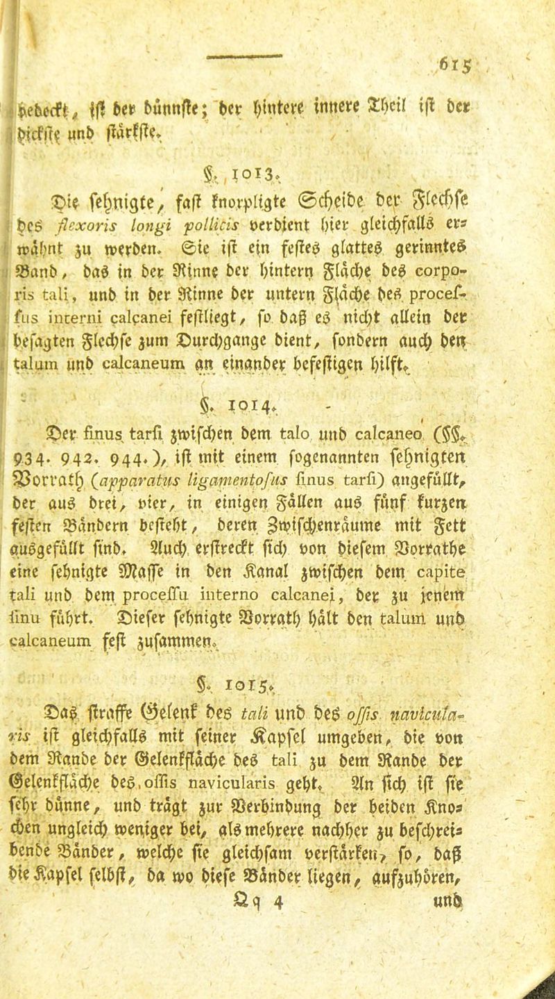I jxetxecft, {ff ber bütnifle; ber hintere innere £l)cil iff ber i biefffe unb ffarffie. §;, 1013. i3>i? fefmigte, faff fnorpligte @djeibe ber $lccf>fe bc$ flcxoris longi pollicis oerbient hier g[eid)fallö er? mahnt ju werben. 6ie i|t ein feffees gtatteö gerinnte£ 23anb, baö in ber Spinne ber f>intern §ldd)e be£ corpo- ris taii, unb in ber ^tnne ber untern gldcpe betf procef- fus incerni calpanei fefiliegt, fo ba§ e$ nid)t allein bet befugten §lcd;fe jum £5urd;gangc bient, fonbern and; ben talam unb calcaneum an einanber befejiigen hilft* §. 1014* 1 £>er frnus tarü jwi.fd^en bem talo unb calcaneo 934. 942. 944.)/iß mit einem fogenannten feljmgfett Söorratf; (apparatus ligamentofus finus tarfi) angefüllt/ ber aus brei, rier, in einigen fallen auö fünf furjetr feßcti SBgnbern beftebt, beren ^wtfcpettrdume mit gett guSgeffiift finb. 5fud; erffreeft ftd; uon biefem SSortathe eine fehnigte SWaffe in ben Äanal jwifeben bem capite tali unb bem procelfu interno calcanej., bet ju jenem iinu fuhrt. liefet fehnigte SSorratl) halt ben taluiii unb calcaneum fefl $ufammen. §* 1015» £as> ffraffe (iJelenf bes tali unb bet? offis navkula vis ifi gleichfalls mit feiner Zapfet umgeben, bie non bem Stanbe ber ©elenfflddje beä tali ju bem SJanbe bet @elenfflad;e beg, offis navicularis geht. 2ln |tcp ift fte fehr bunne, unb tragt jur Sßer&inbung ber beiben Äno? eben ungleid; weniger bet, als mehrere nachher $u befd;rei? benbe 23dnber, weld;c fte gletdjfant ner(idrfen? fo, baß bie$apfel felbff, ba wo biefe SBdnbet liegen, aufjuhoren,