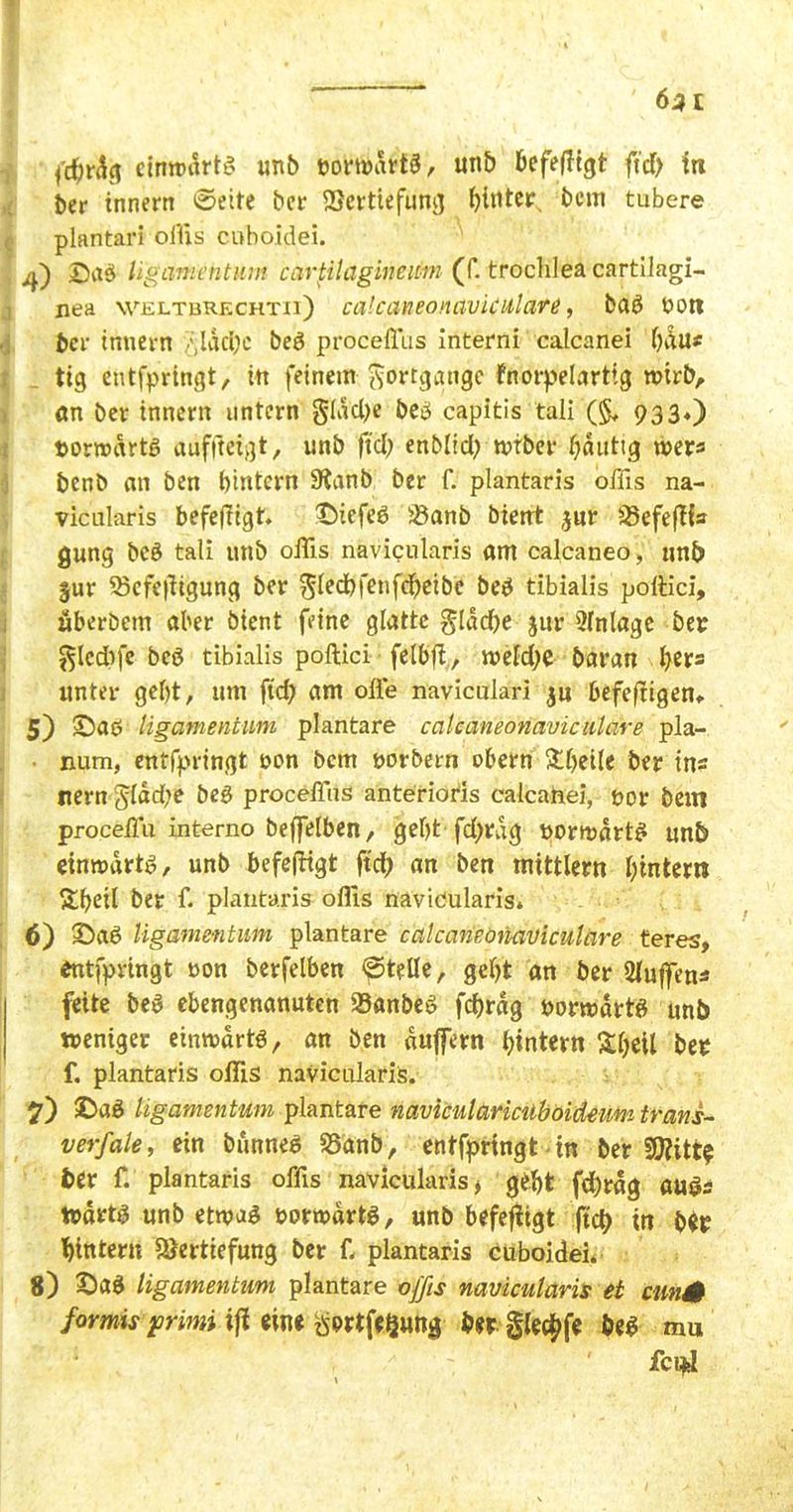 pctyrdg cimtutrtd unb bortudrtd, unb befejJtgt ftcf> in ber tnnern ©eite ber ©ertiefung hinter, bem tubere plantari offis cuhoidei. i|) ©ad Ugamentum cartilagirieum (f. trochlea cartilagi- nea weltbrechtii) ealcaneonaviculare, bad t>oti bei- tnnern /,lad?c bed proceflus interni calcanei bdu* tig entfpringt, in feinem Fortgänge fnorpelartig wirb, ön ber tnnern untern §ldd>e bed capitis tali (§♦ 933«) »orrodrtd auffteigt, unb ftd> enblid; wrber bduttg rners benb an ben bintern 9?anb ber f. plantaris offis na- vicularis befefTtgf. ©icfed ©anb bient jur ©efeflfs gung bed tali unb offis navicularis am balcaneo, nnb §ur ©efefdgung ber ^ledbfenfdbeibe bed tibialis poftici, «berbetn aber bient feine glatte glad)e jur Anlage ber ^lcd)fc bed tibialis poftici felbft, wefdje baran f>er= unter gebt, um ftd) am offe naviculari ju befefligen, 5) ©ad Ugamentum plantare ealcaneonaviculare pla- num, entfpringt non bem norbern obern £beile ber ins nern §ldd>e bed proceffiis anterioris calcahei, t>or bem proceffiu interno beffetben, gebt fd>rdg uorwdrtd unb einrodrtd, unb befeftigt ftcf> an ben mtttlem bintern &b<ffi ber f. plantaris offis navicularis* 6) ©ad Ugamentum plantare calcaneomviculare teres, entfpringt non berfelben ©teile, gebt an ber 2lujfens feite bed ebengenanuten ©anbed fcbrdg »orwartd unb weniger eintrartd, an ben duffem bintern £beil ber f. plantaris offis navicularis. 7) ©ad Ugamentum plantare navicularicuboideum trans- verfale, ein bunned ©anb, entfpringt in ber ©?itt? ber f. plantaris offis navicularis, gebt fd)rdg aud= trdrtd unb etmad rorwdrtd, unb befefiigt ftd) in ber bintern ©ertiefung ber f. plantaris cuboidei. 8) ©ad Ugamentum plantare offis navicularis et cun0 formis jorimi iß eine £prtfeSung ber §le$fe bed mu fci*l