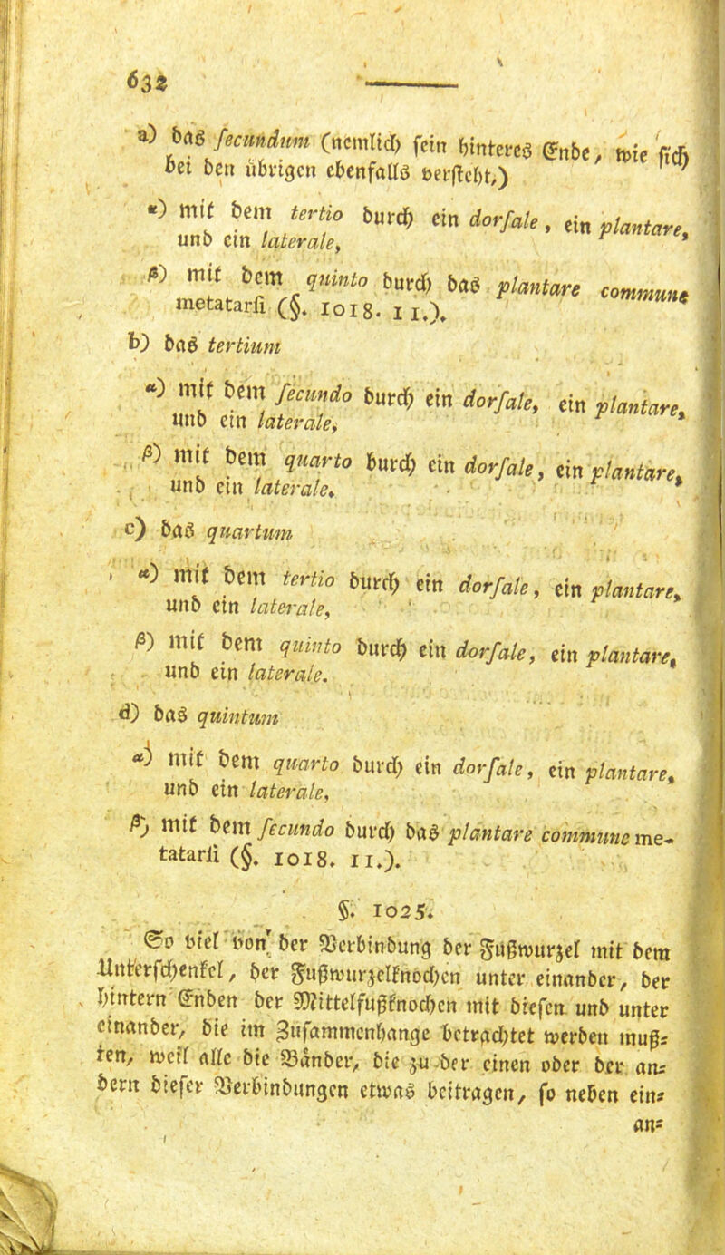 6 3Z a) bag fecund,m (rtcmltd) fein bintercö £nbe, mie fid> 6et ben übrigen ebenfalls ner|tcl)t>) ^ «) mit t>em tert«, burd& ein dorfate, ei„ plantare, unb ein laterale, « mit bem qninto bunt, ba« plantare commune metatarli (§. loig. * fc) bag tertium “° mit bem feem,da butdd ein dorfate, ein plantare, unb em laterale> « mit bem q«arte ted, an dorfate, ein plantare, unb ein laterale» ' c) 5aS quartum ' terti0 <•««& 'in dorfate, ein plantare, unb etn laterale, ß) lmt bem quinto burdj ein dorfale, ein plantare. unb etn laterale. d) bag quinttun ai mit bem qmrto bmd> ein dorfale, ein plantare, unb ein laterale, ß) mit bem fecundo burd) bag plantare commune me- tatarli (§. 1018. n.). §. 1025. ötel non ber Q}erbinbung ber gußwurjel mit bem •unt'erfd)enfcl, bet Jugnwrjelf'nodKn unter einnnber, ber bintern (Jnben ber »telfugfnodKn mit brefen unb unter einanber, bie im ^ufamtnenbange betrftd)tet merbeit mugs ren, mcif alle bie 23anbcr, bie s-u-ber einen ober ber aiu bern biefer $erbinbungcn etmaS beitragen, fo neben eins ans