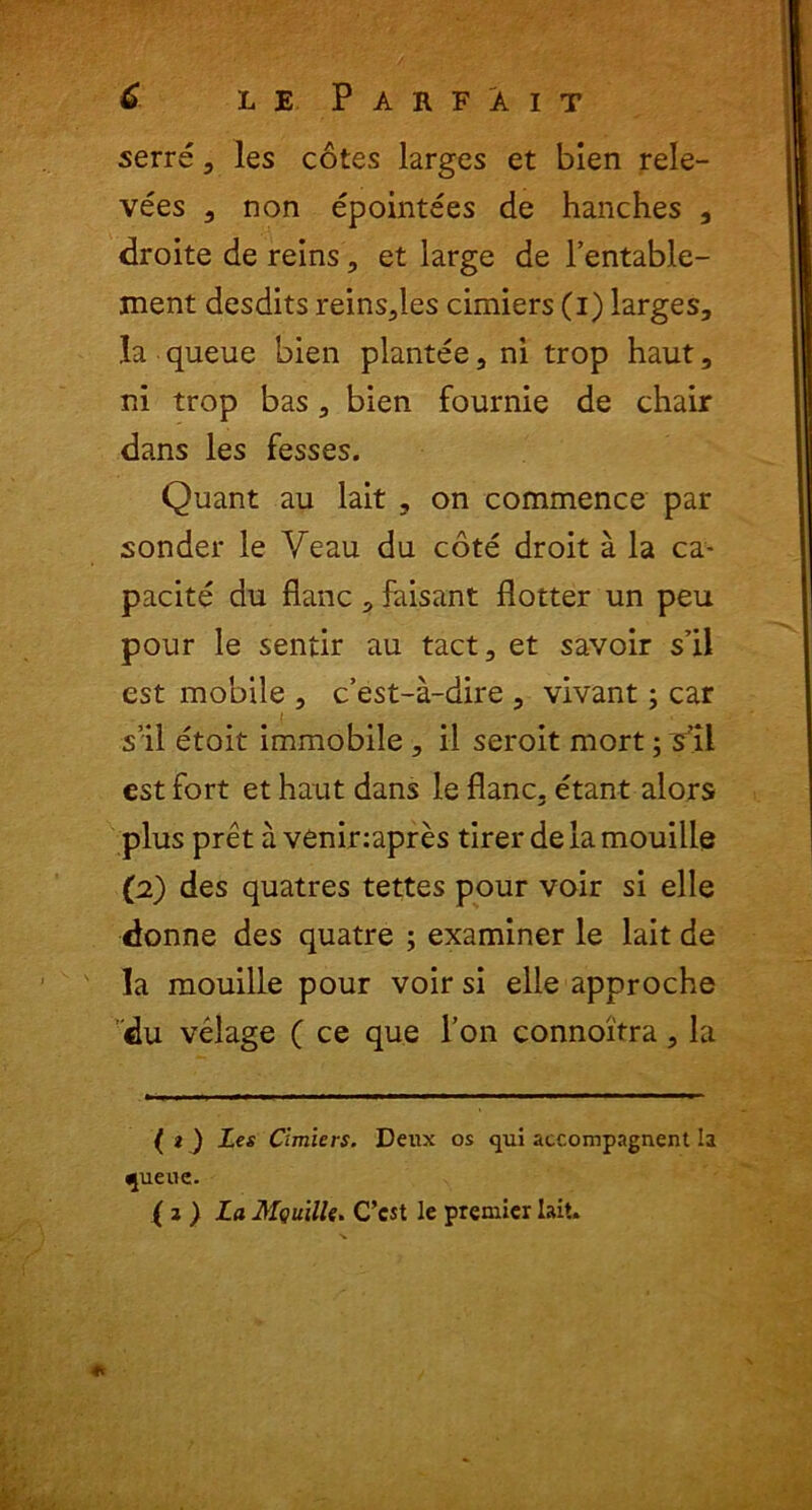 serre, les cotes larges et bien rele- vees , non epointees de hanches , droite de reins, et large de Fentable- ment desdits reins,les cimiers (i) larges, Ja queue bien plantee, ni trop haut, ni trop bas, bien fournie de chair dans les fesses. Quant au lait , on commence par sonder le Veau du cote droit a la ca- pacite du flanc, faisant flotter un peu pour le sentir au tact, et savoir sil est mobile , c’est-a-dire , vivant; car sil etoit immobile , il seroit mort; ^’il est fort et haut dans le flanc. etant alors plus pret a venir:apres tirer de la mouille (2) des quatres tettes pour voir si elle donne des quatre ; examiner le lait de Ia mouille pour voir si elle approche 'du velage ( ce que l’on connoitra, la ( t ) Les Cimiers. Deux os qui accompagnent Ia queue. ( 2 ) La Mguille. C’cst le premier lait. ♦