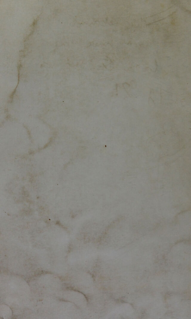 digitised image 2