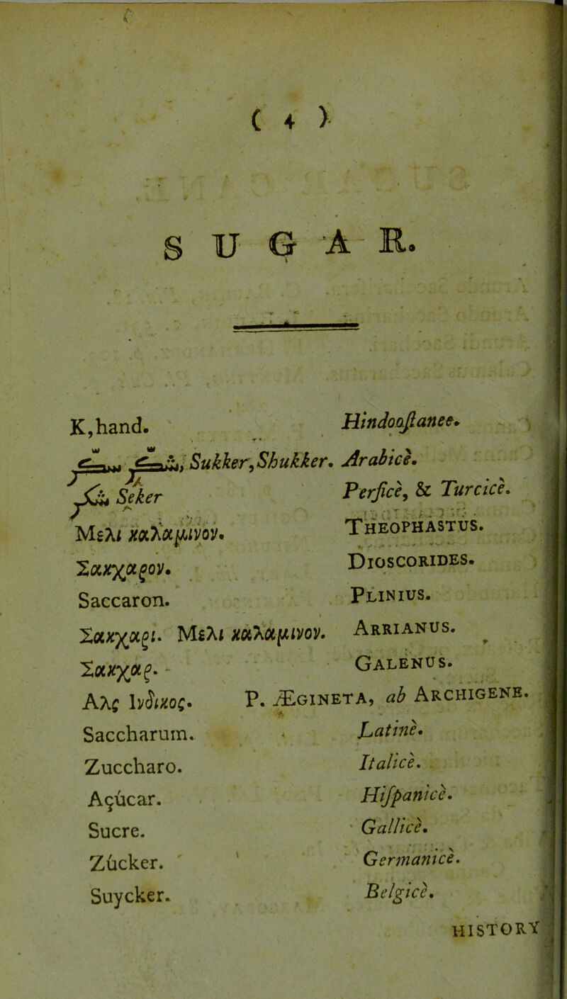 c c + ) S U- Gr ‘A- R. K,hand. ' . Hlndoajanee. Sukker,Shukker, Arabic}. Seker MgA/ mtoLihmv Perjice, & Turcice, Theophastus. '^axyoL^ov. Dioscorides. Saccaron. Plinius. Xoix^oc^i- Ms>it Arrianus. ^ Galenus. AXff lviixoc> P. ^GINETA, ab ARCHIGENE Saccharum. . Patine, Zuccharo. Italic}. A9ucar. Hifpanice. Sucre. ' Gallice, Zucker. ' ■ . * Germamce. Suycker. Belike, •1^ history