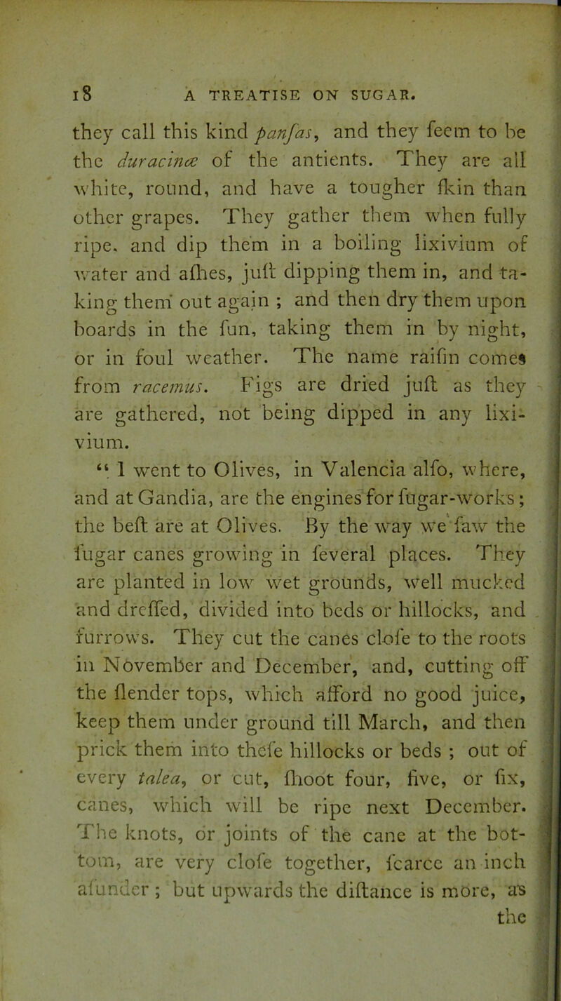 they call this kind panfas, and they fecm to be the duracince of the antients. They are all white, round, and have a tougher fkin than other grapes. They gather them when fully ripe, and dip them in a boiling lixivium of Vv^ater and allies, julf dipping them in, and ta- king them’ out again ; and then dry them upon hoards in the fun, taking them in by night, or in foul weather. The name raifin comes from racemus. Figs are dried juft as they are gathered, not being dipped in any lixi- vium. “ 1 went to Olives, in Valencia alfo, where, and atGandia, are the engines for fugar-works; the beft are at Olives. By the way we faw’- the fugar canes growing in feveral places. They arc planted in low wet grounds, well mucked and dreffed, divided into beds or hillocks, and furrows. They cut the canes clofe to the roots ill November and December, and, cutting off the {lender tops, which afford no good juice, keep them under ground till March, and then prick them into thefe hillocks or beds ; out of every talea, or cut, ffioot four, five, or fix, canes, which wdll be ripe next December. The knots, dr joints of the cane at the bot- tom, are very clofe together, fcarcc an inch alunder ; but upwards the diftance is more, ais the