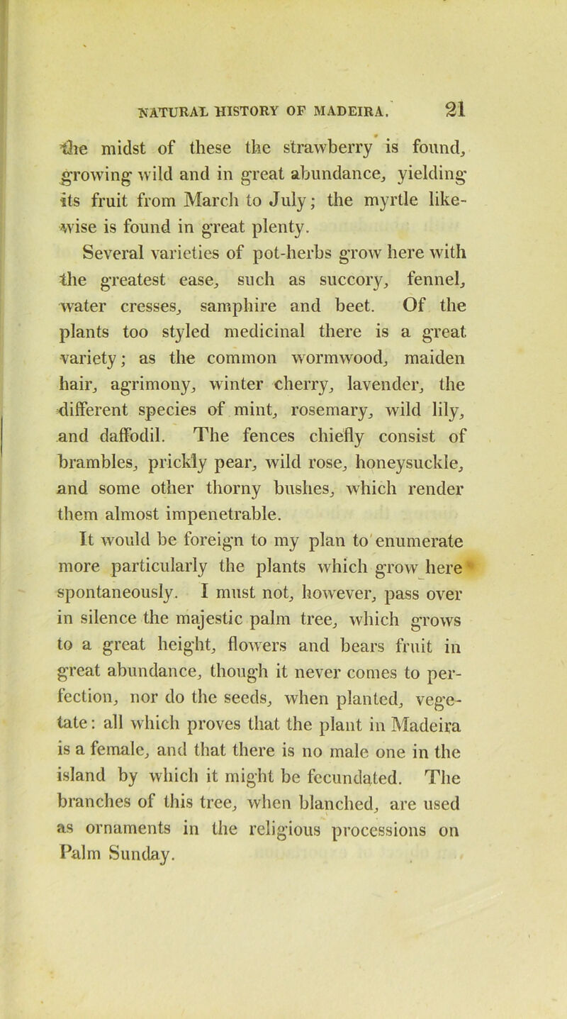 9 the midst of these the strawberry is found, growing wild and in great abundance, yielding its fruit from March to July; the myrtle like- wise is found in great plenty. Several varieties of pot-herbs grow here with the greatest ease, such as succory, fennel, water cresses, samphire and beet. Of the plants too styled medicinal there is a great variety; as the common wormwood, maiden hair, agrimony, winter cherry, lavender, the different species of mint, rosemary, wild lily, and daffodil. The fences chiefly consist of brambles, prickly pear, wild rose, honeysuckle, and some other thorny bushes, which render them almost impenetrable. It would be foreign to my plan to enumerate more particularly the plants which grow here spontaneously. I must not, howrever, pass over in silence the majestic palm tree, which grows to a great height, flowers and bears fruit in great abundance, though it never comes to per- fection, nor do the seeds, when planted, vege- tate: all which proves that the plant in Madeira is a female, and that there is no male one in the island by which it might be fecundated. The branches of this tree, when blanched, are used as ornaments in the religious processions on Palm Sunday.