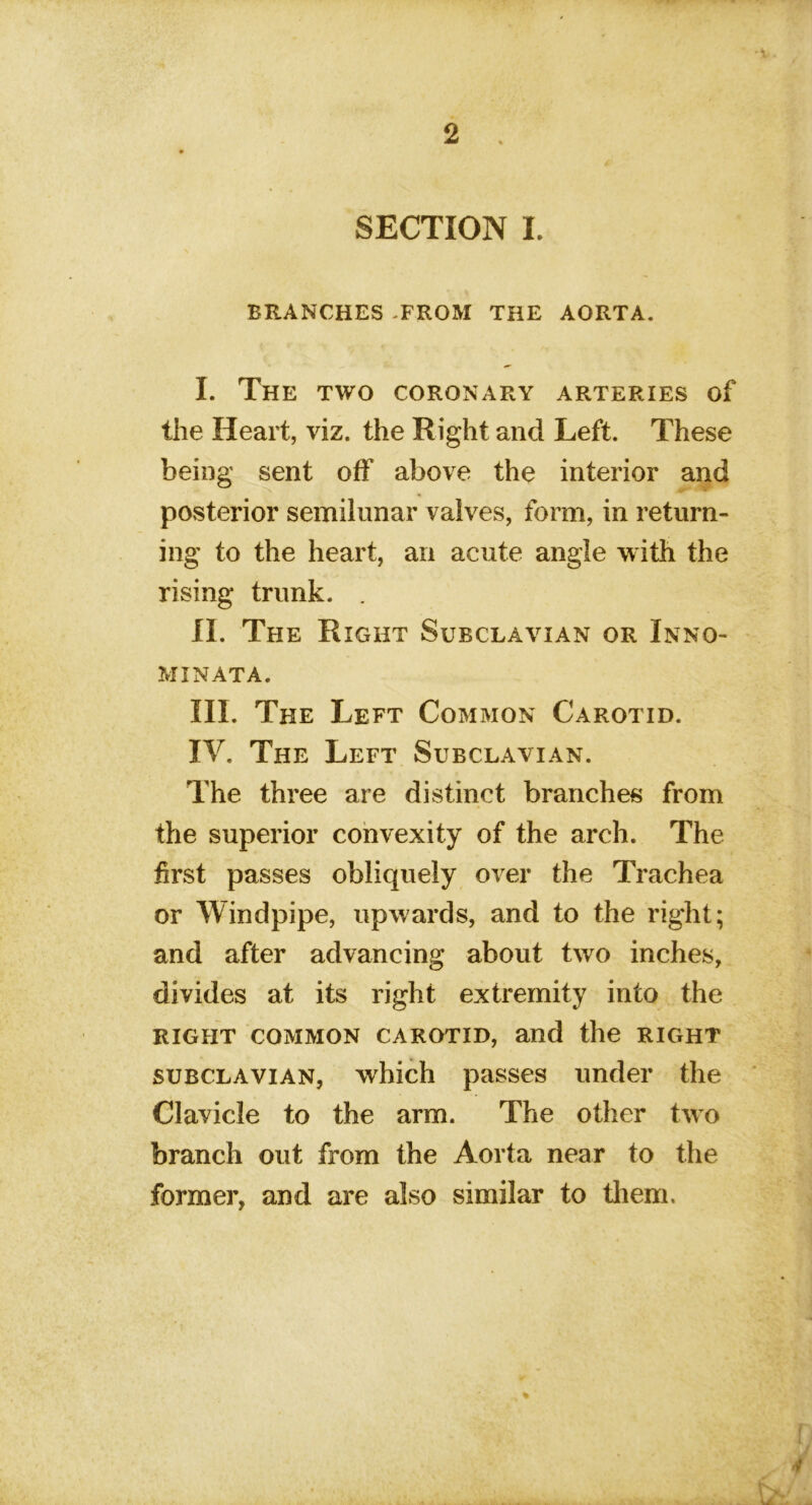 SECTION L BRANCHES -FROM THE AORTA. I. The two coronary arteries of the Heart, viz. the Right and Left. These being sent off above the interior and posterior semilunar valves, form, in return- ing to the heart, an acute angle with the rising trunk. . II. The Right Subclavian or Inno- minata. III. The Left Common Carotid. IV. The Left Subclavian. The three are distinct branches from the superior convexity of the arch. The first passes obliquely over the Trachea or Windpipe, upwards, and to the right; and after advancing about two inches, divides at its right extremity into the right common carotid, and the right subclavian, which passes under the Clavicle to the arm. The other two branch out from the Aorta near to the former, and are also similar to them.