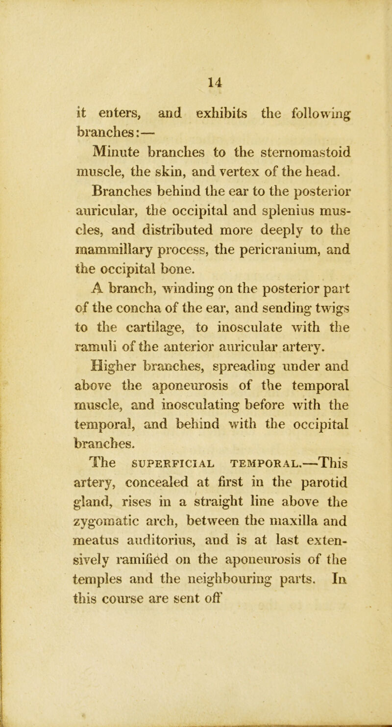 it enters, and exhibits the following branches:— Minute branches to the sternomastoid muscle, the skin, and vertex of the head. Branches behind the ear to the posterior auricular, the occipital and splenius mus- cles, and distributed more deeply to the mammillary process, the pericranium, and the occipital bone. A branch, winding on the posterior part of the concha of the ear, and sending twigs to the cartilage, to inosculate with the ramuli of the anterior auricular artery. Higher branches, spreading under and above the aponeurosis of the temporal muscle, and inosculating before with the temporal, and behind with the occipital branches. The SUPERFICIAL TEMPORAL.—This artery, concealed at first in the parotid gland, rises in a straight line above the zygomatic arch, between the maxilla and meatus auditorius, and is at last exten- sively ramified on the aponeurosis of the temples and the neighbouring parts. In this course are sent ofl'