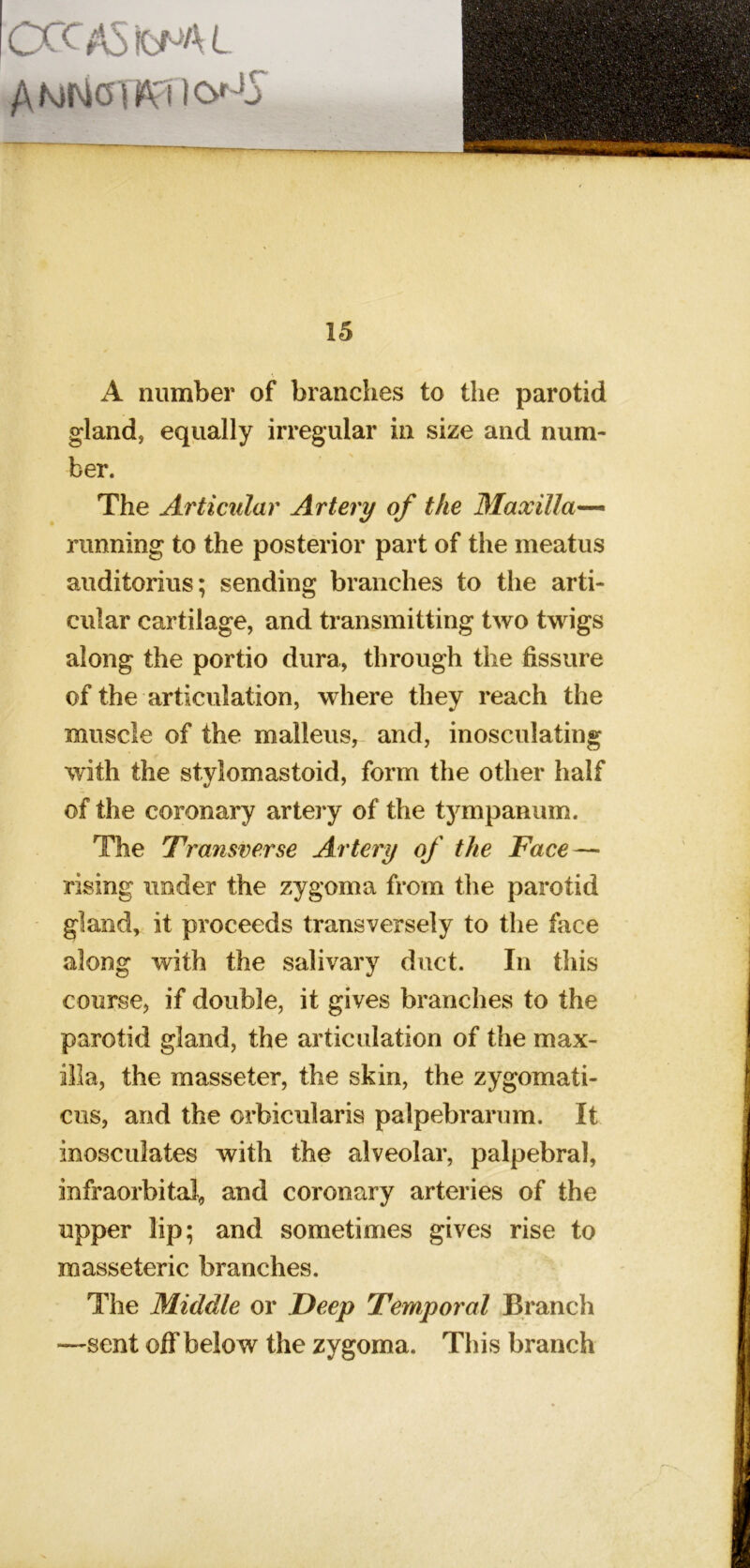 CCCASfcfJAl AMNOtjUfilO'-'J 15 A number of branches to the parotid gland, equally irregular in size and num- ber. The Articular Artery of the Maxilla^ running to the posterior part of the meatus auditorius; sending branches to the arti- cular cartilage, and transmitting two twigs along the portio dura, through the fissure of the articulation, where they reach the muscle of the malleus, and, inosculating with the stylomastoid, form the other half of the coronary artery of the tympanum. The 'Transverse Artery of the Face — rising under the zygoma from the parotid gland, it proceeds transversely to the face along with the salivary duct. In this course, if double, it gives branches to the parotid gland, the articulation of the max- illa, the masseter, the skin, the zygomati- ciis, and the orbicularis palpebrarum. It inosculates with the alveolar, palpebral, infraorbital, and coronary arteries of the upper lip; and sometimes gives rise to masseteric branches. The Middle or Deep Temporal Branch —sent off below the zygoma. This branch