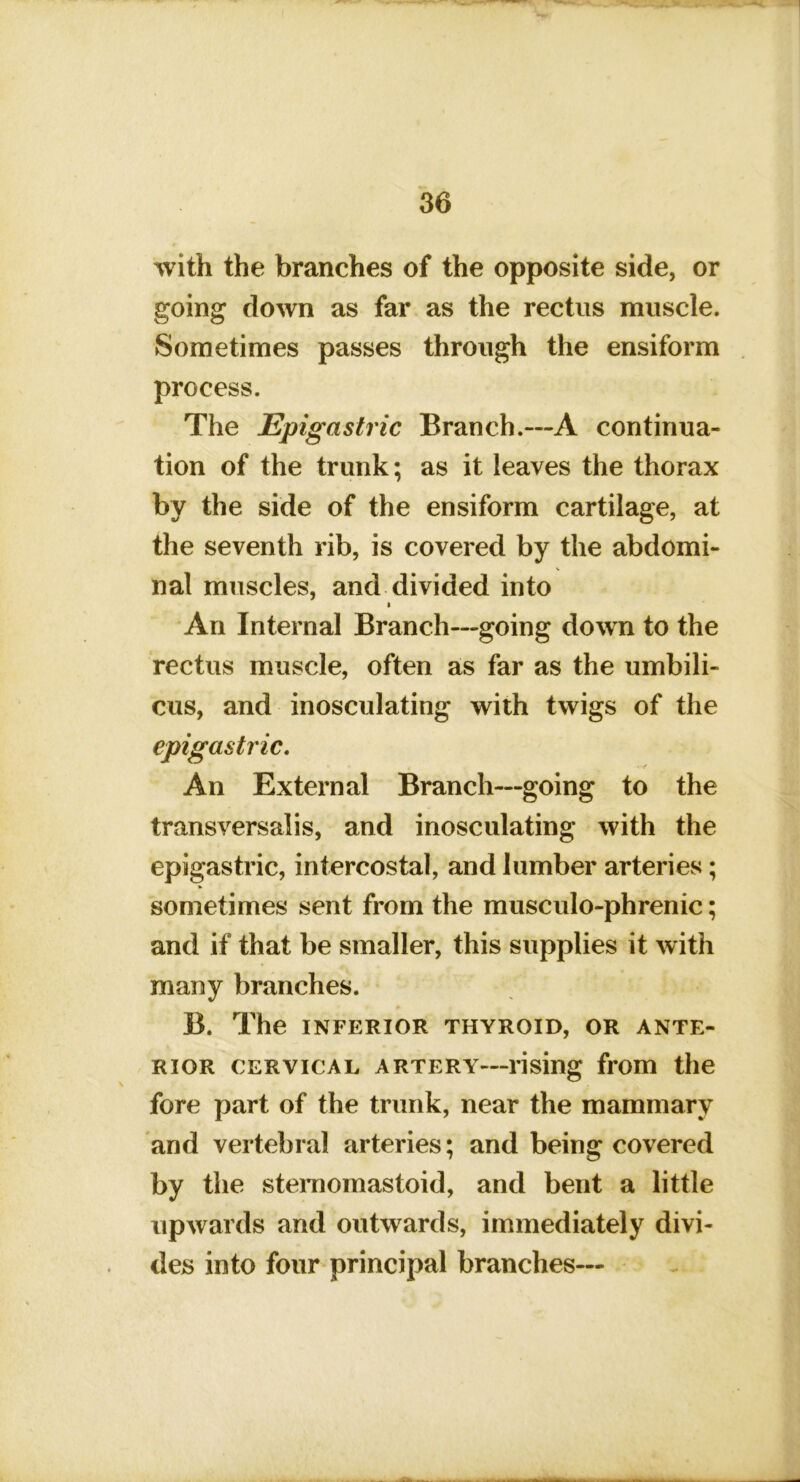 with the branches of the opposite side, or going down as far as the rectus muscle. Sometimes passes through the ensiform process. The Epigastric Branch.—A continua- tion of the trunk; as it leaves the thorax by the side of the ensiform cartilage, at the seventh rib, is covered by the abdomi- nal muscles, and divided into I An Internal Branch—going down to the rectus muscle, often as far as the umbili- cus, and inosculating with twigs of the epigastric. An External Branch—going to the transversalis, and inosculating with the epigastric, intercostal, and lumber arteries; sometimes sent from the musculo-phrenic; and if that be smaller, this supplies it with many branches. B. The INFERIOR THYROID, OR ANTE- RIOR CERVICAL ARTERY—rising from the fore part of the trunk, near the mammary and vertebral arteries; and being covered by the stemomastoid, and bent a little upwards and outwards, immediately divi- des into four principal branches—