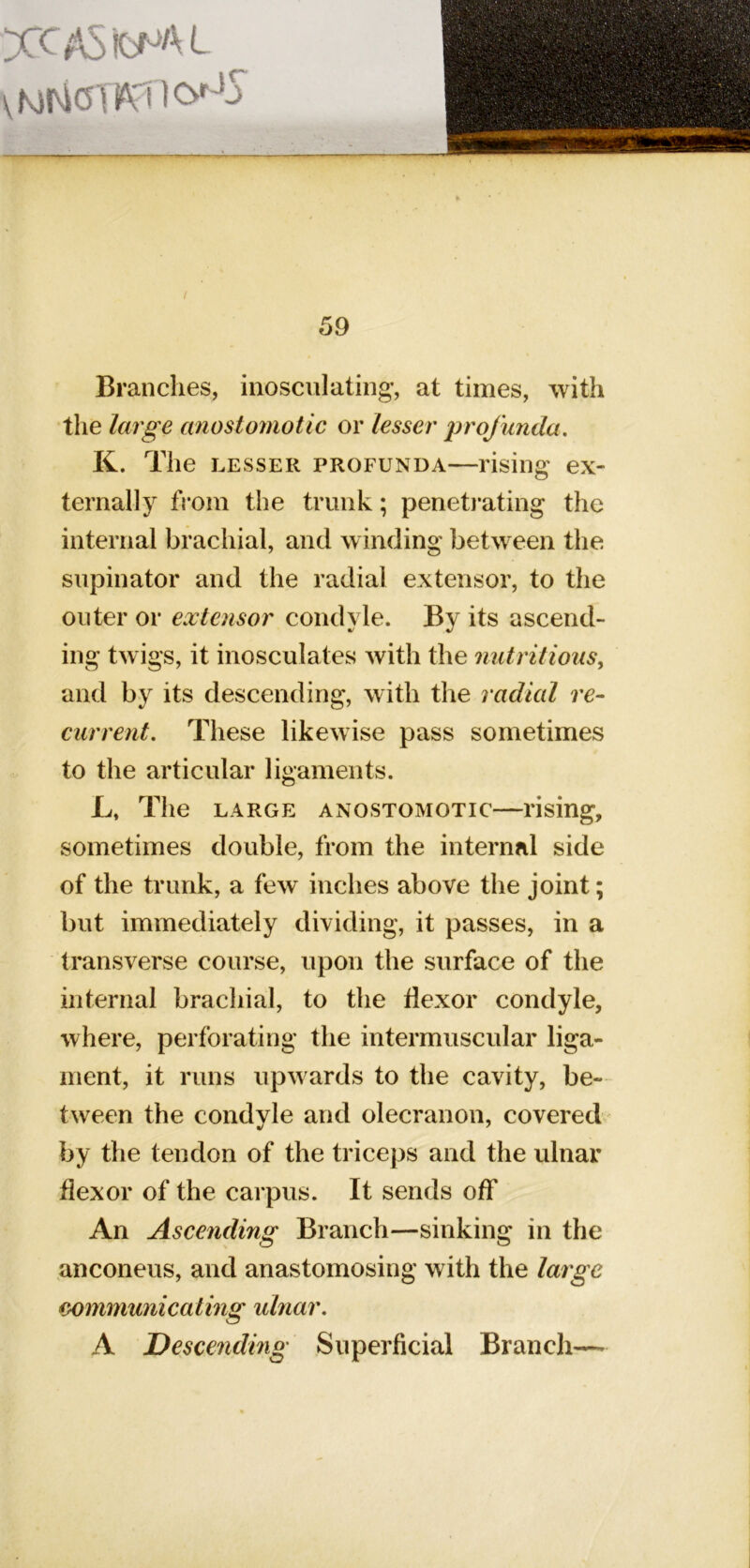 59 Branches, inosculating, at times, with the /ar^e cmostomotic or lesser profunda, K. The LESSER PROFUNDA—rising ex- ternally from the trunk; peneti’ating the internal brachial, and winding between the supinator and the radial extensor, to the outer or extensor condyle. By its ascend- ing twigs, it inosculates with the nutritious, and by its descending, with the radial re- current, These likewise pass sometimes to the articular ligaments. L, The LARGE ANOSTOMOTic—I'ising, sometimes double, from the internal side of the trunk, a few inches above the joint; but immediately dividing, it passes, in a transverse course, upon the surface of the internal bracliial, to the flexor condyle, where, perforating the intermuscular liga- ment, it runs upwards to the cavity, be- tween the condyle and olecranon, coveredv by the tendon of the triceps and the ulnar flexor of the carpus. It sends off An Ascending Branch—sinking in the anconeus, and anastomosing with the large communicating ulnar, A Descending Superficial Branch—