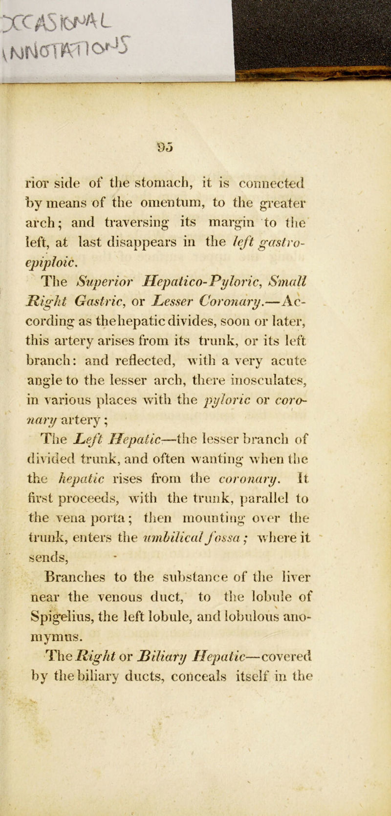 rior side of the stomach, it is connected by means of the omentum, to the greater arch; and traversing its margin to tlie' left, at last disappears in the left gastro- epiploic. The Superior Hepatico-Pyloric, Small Right Gastric, or Lesser Corofiary.—Ac- cording as thehepatic divides, soon or later, this artery arises from its trunk, or its left branch: and reflected, ^vith a very acute angle to the lesser arch, there inosculates, in various places with the pyloric or coro- nary artery; The Left Hepatic—the lesser branch of divided trunk, and often wanting when the the hepatic rises from the coronary. It first proceeds, with the trunk, parallel to the vena porta; tlieii mounting over the trunk, enters the umbilical fossa ; Avliere it sends, Branches to the substance of the liver A near the venous duct, to the lobule of Spigelius, the left lobule, and lobulous ano- m yin us. Thel2«gA^ or liiliary Hepatic—covered by the biliary ducts, conceals itself in the