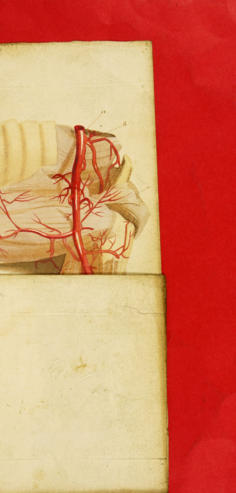 IfS #sS it- •'*^m ‘-T