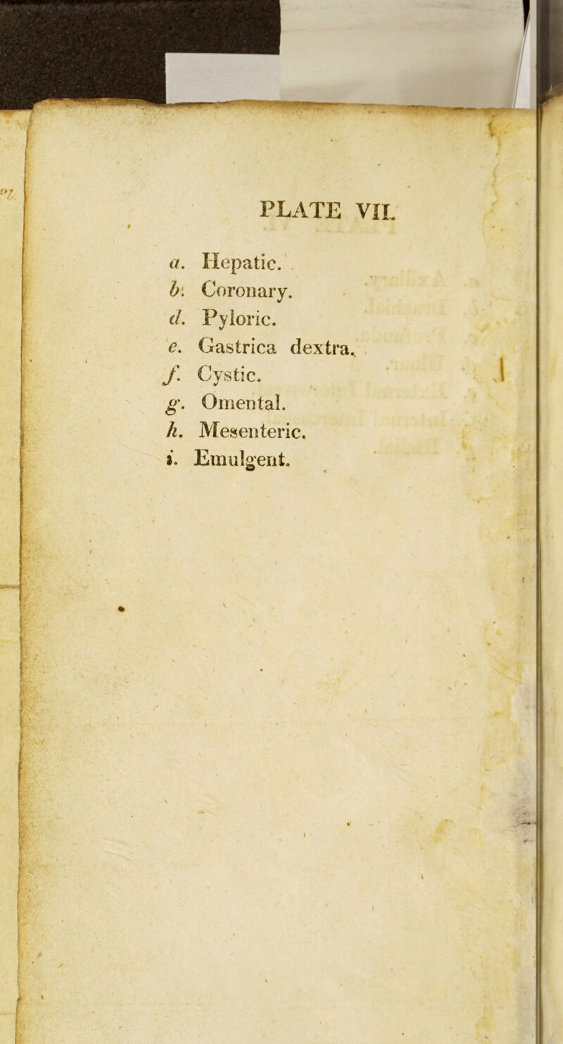 a. Hepatic.'. b\ Coronary. d. Pyloric. e. Gastrica dextra., . J\ Cystic. 1 g. Omental. h. Mesenteric. i. Emulo'erit. I