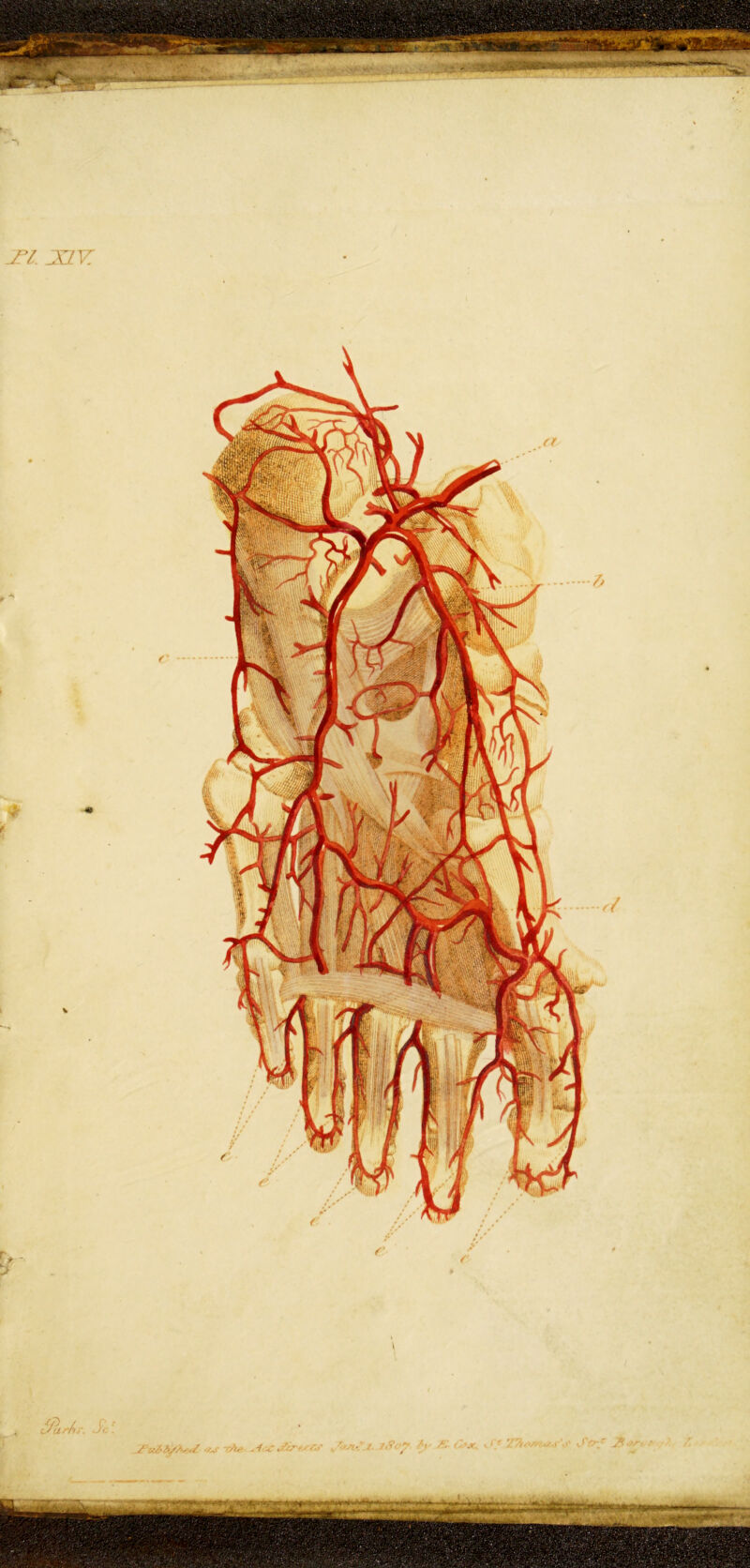 I t V /* / Si \Z. Znf.'p^ Si- /•J C.'jc n.>/ -^',r\t' i*i-T r— • ate