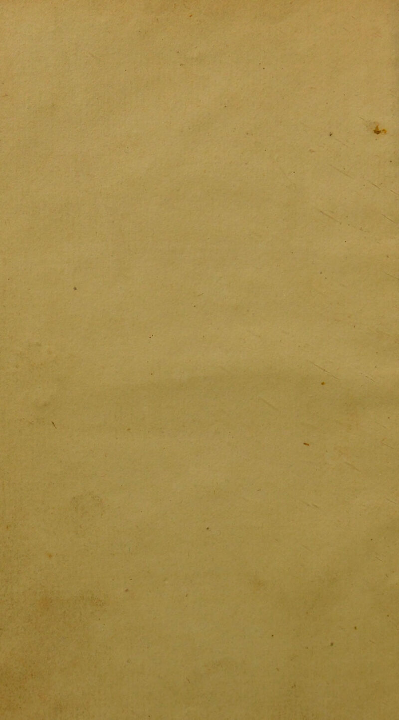 c 4^ • V' 1 1 •tr' ' ; ' '1 • / x'' - '>>