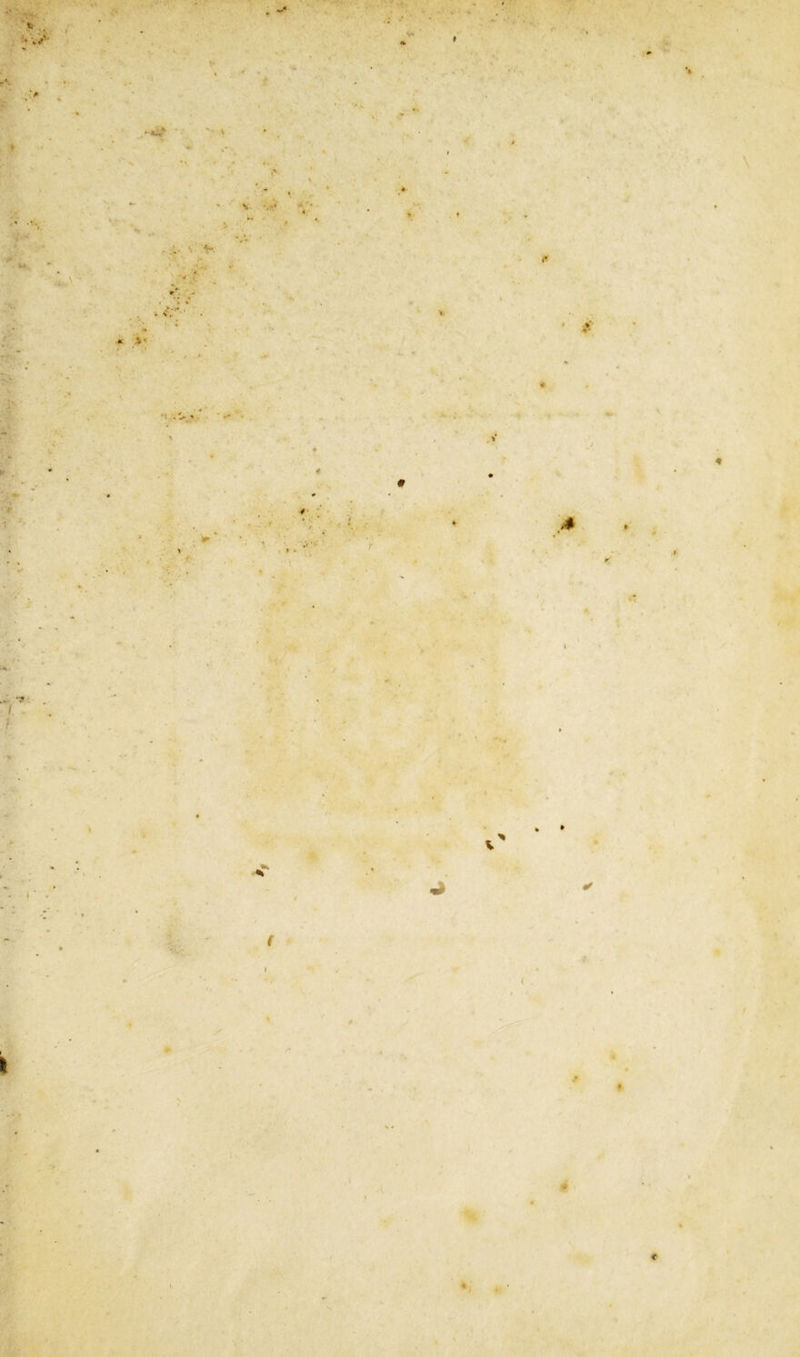 v-v S *v» it' - • ► ■* ► » </ ' • K • « >« M ;.S >. ■ '-* . ^ /' * . I { .