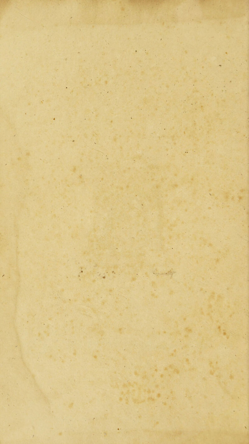 ✓ 4 4 * 3 J i \ \ \ * *» \ ) \ f % . '■ i V f \